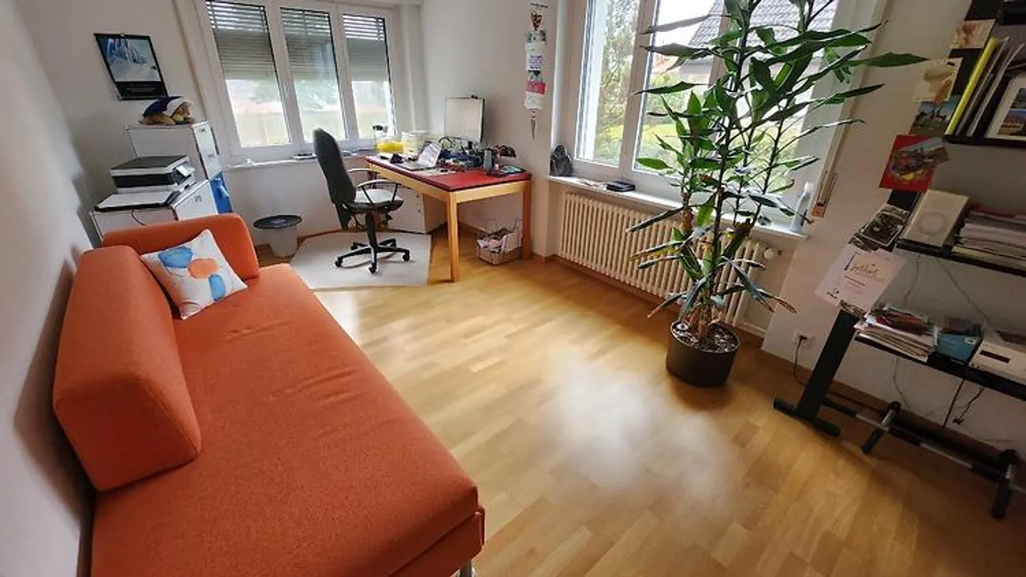 4½ ROOM APARTMENT IN BRUGG (AG), FURNISHED, TEMPORARY - Photo 7 of 10