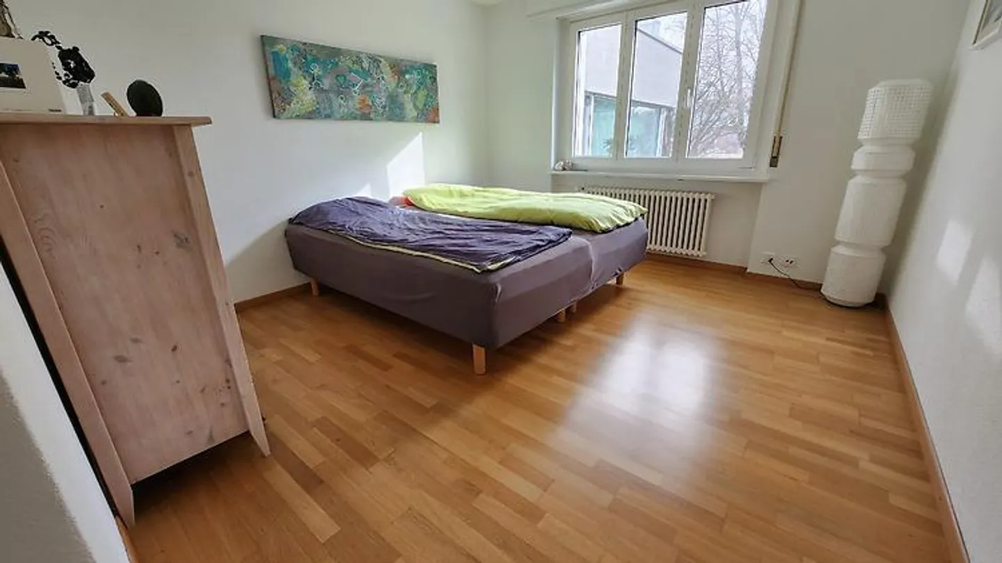 4½ ROOM APARTMENT IN BRUGG (AG), FURNISHED, TEMPORARY - Photo 8 of 10