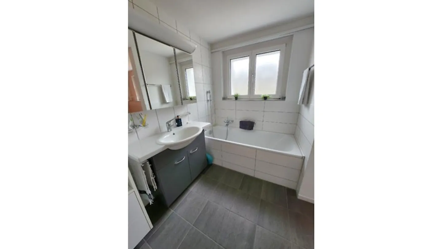 4½ ROOM APARTMENT IN BRUGG (AG), FURNISHED, TEMPORARY - Photo 9 of 10