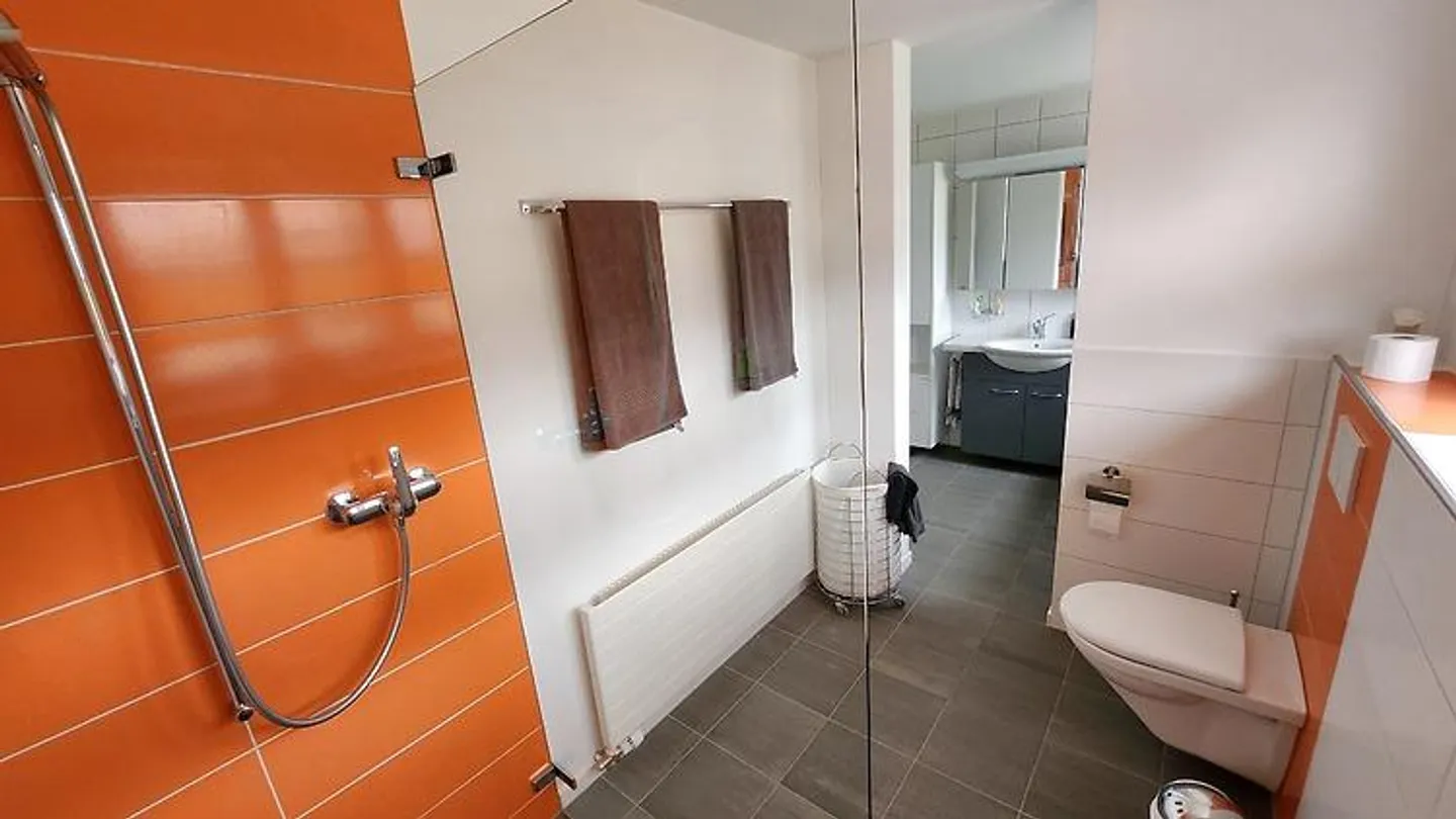 4½ ROOM APARTMENT IN BRUGG (AG), FURNISHED, TEMPORARY - Photo 10 of 10