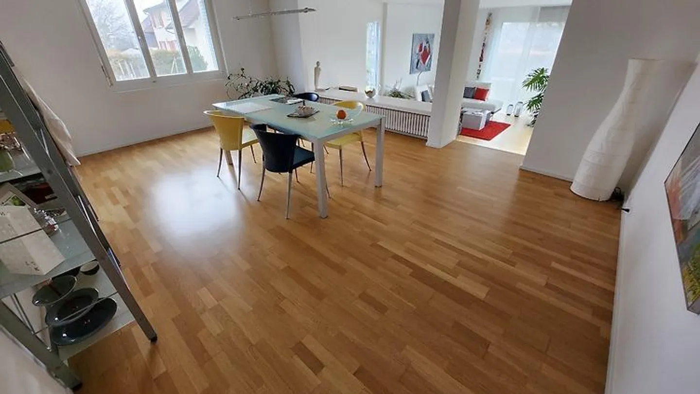 4½ ROOM APARTMENT IN BRUGG (AG), FURNISHED, TEMPORARY - Photo 3 of 10