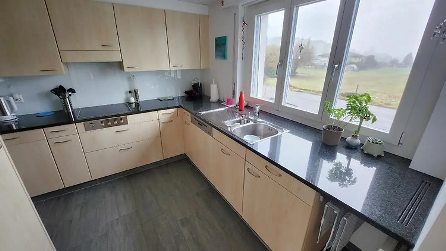 4½ ROOM APARTMENT IN BRUGG (AG), FURNISHED, TEMPORARY - Photo 4 of 10