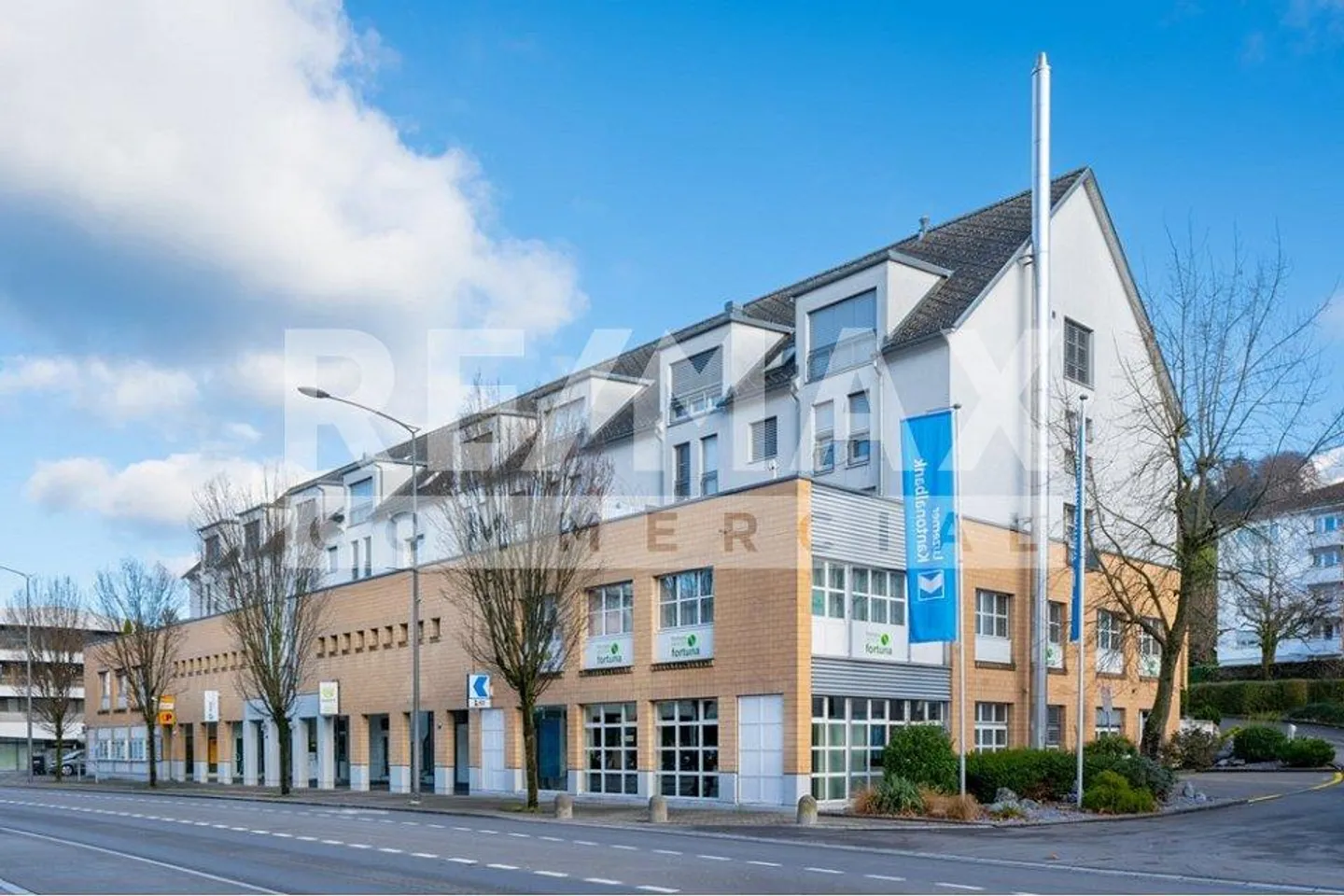 Flexible Praxis-/Gewerbefläche an Top-Lage in Root  Ideal für Ihr ... - Foto 1 von 13