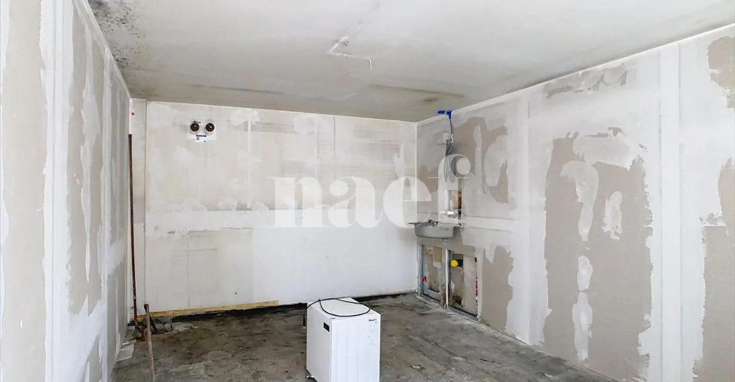 Mixed-use building for rent - Photo 4 of 19