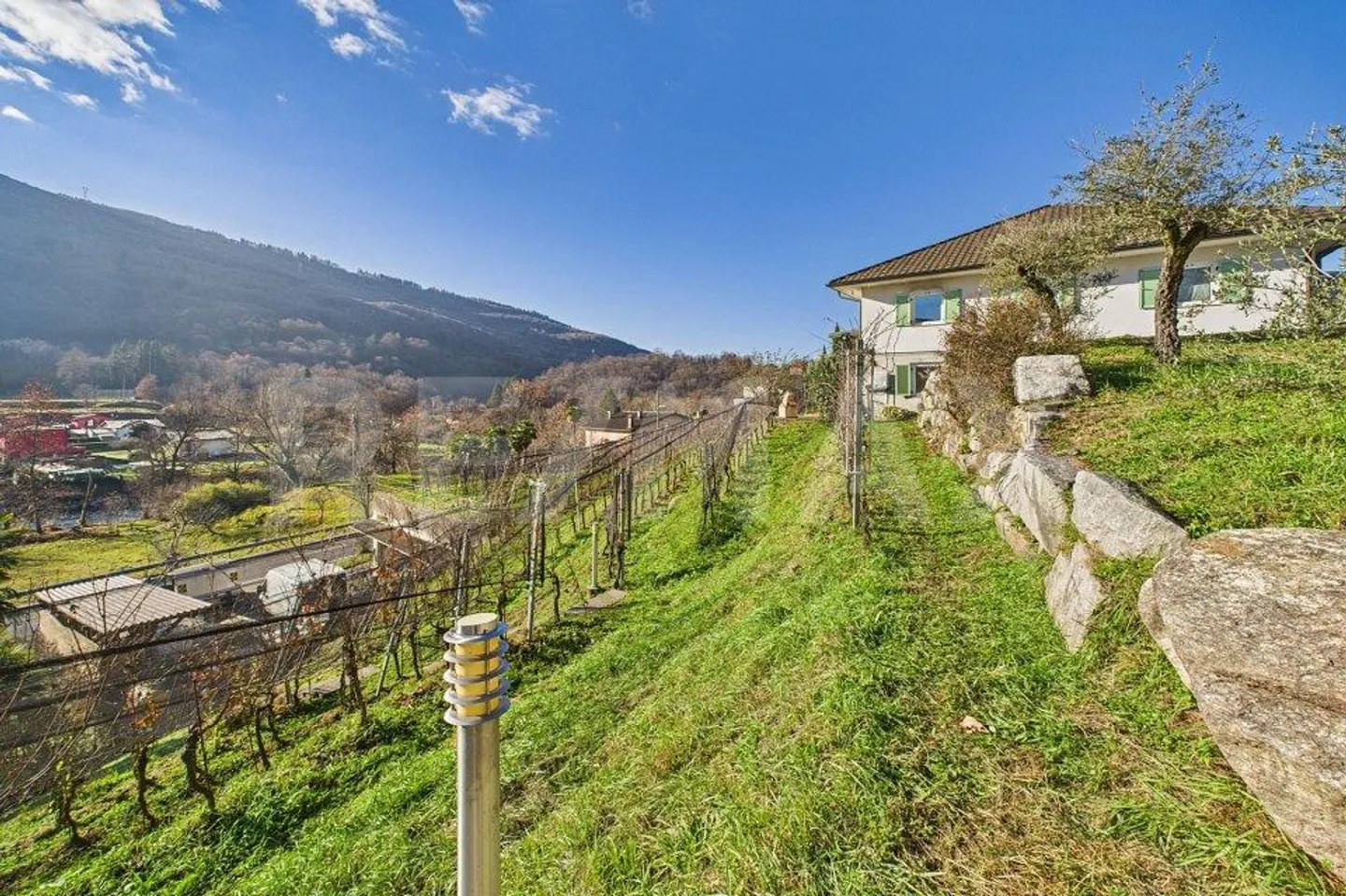 1'708 m² Bauland mit Rebberg  Tresa (Ponte Cremenaga) - Foto 3 von 8