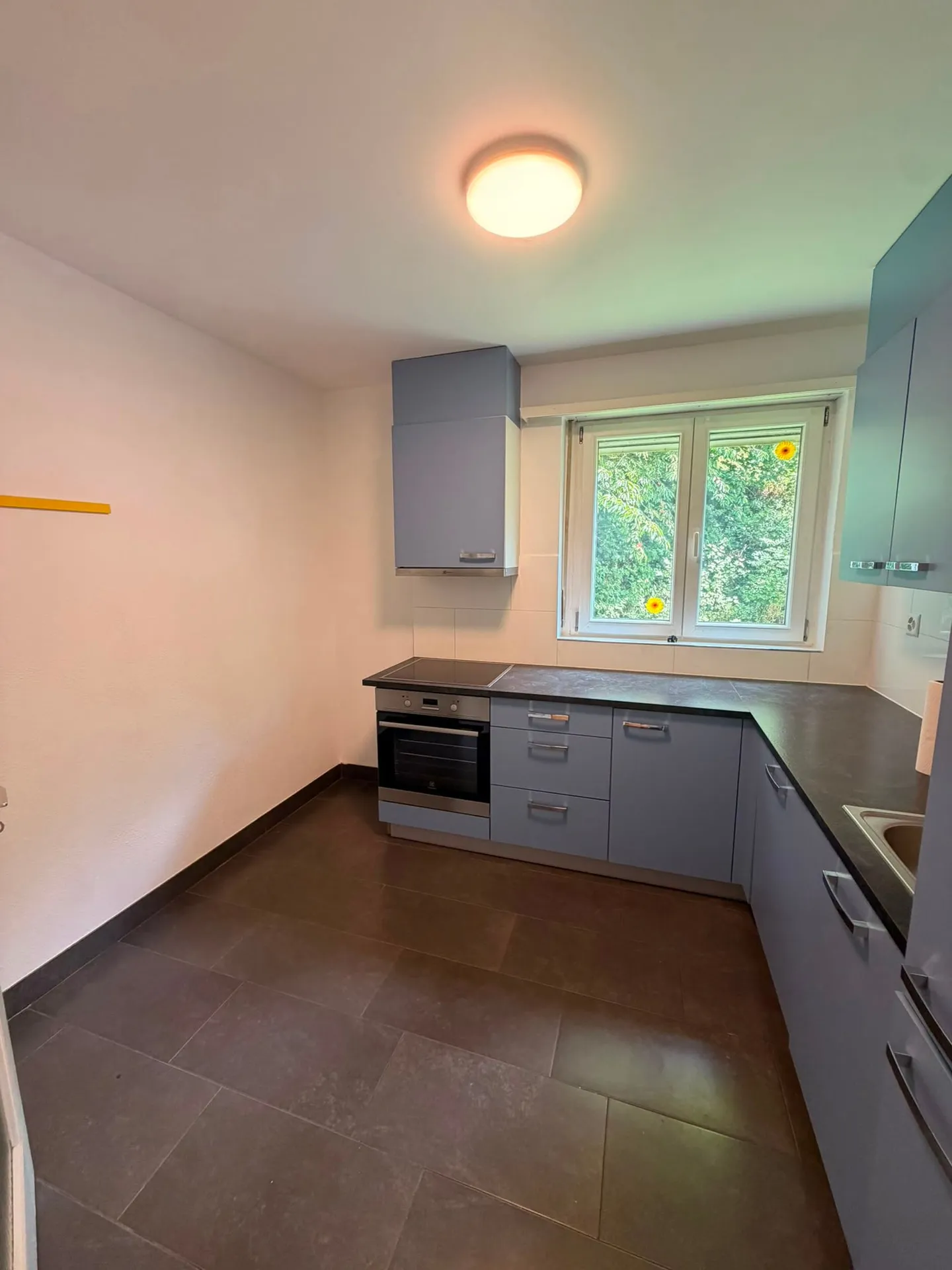 Geräumige Wohnung in Schaffhausen - Foto 3 von 7