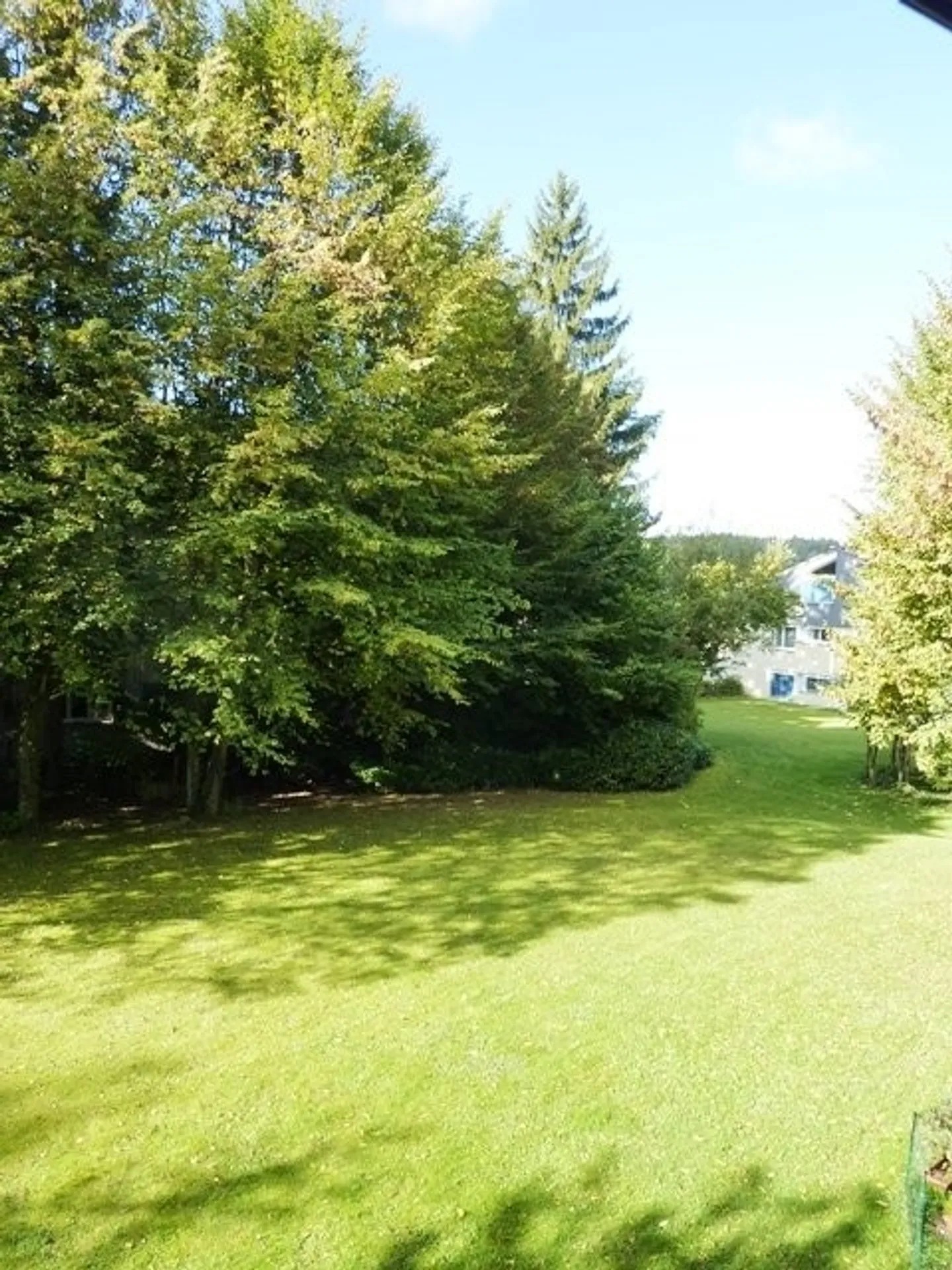 Appartamento in affitto - Foto 10 di 10