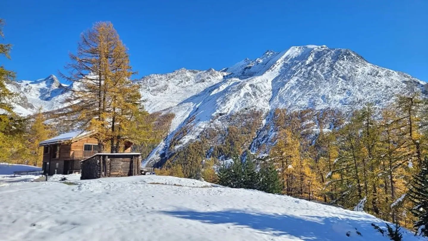 Le Pic - 1 Chambre - Photo 10 sur 12