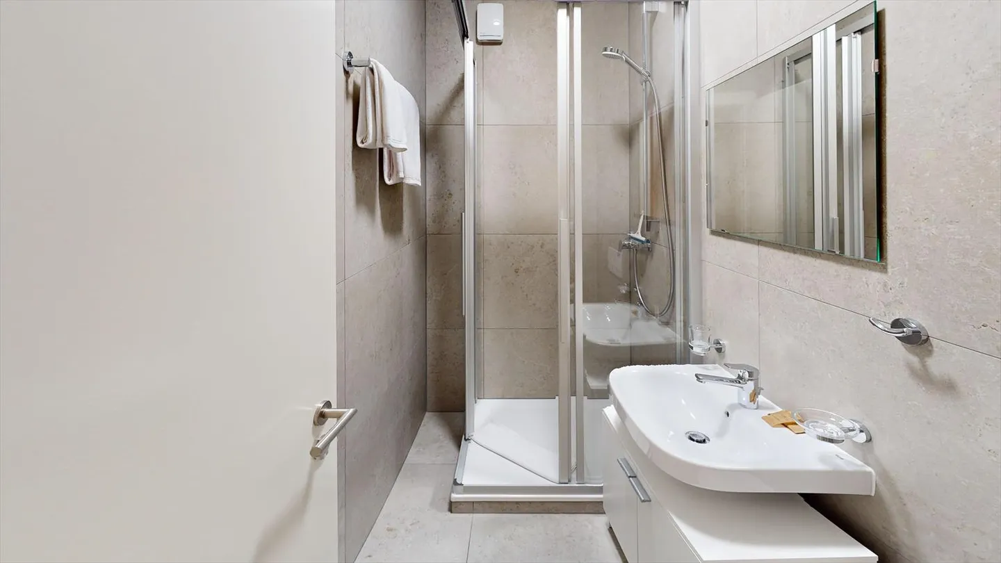 Furnished Apartment - Photo 12 of 13