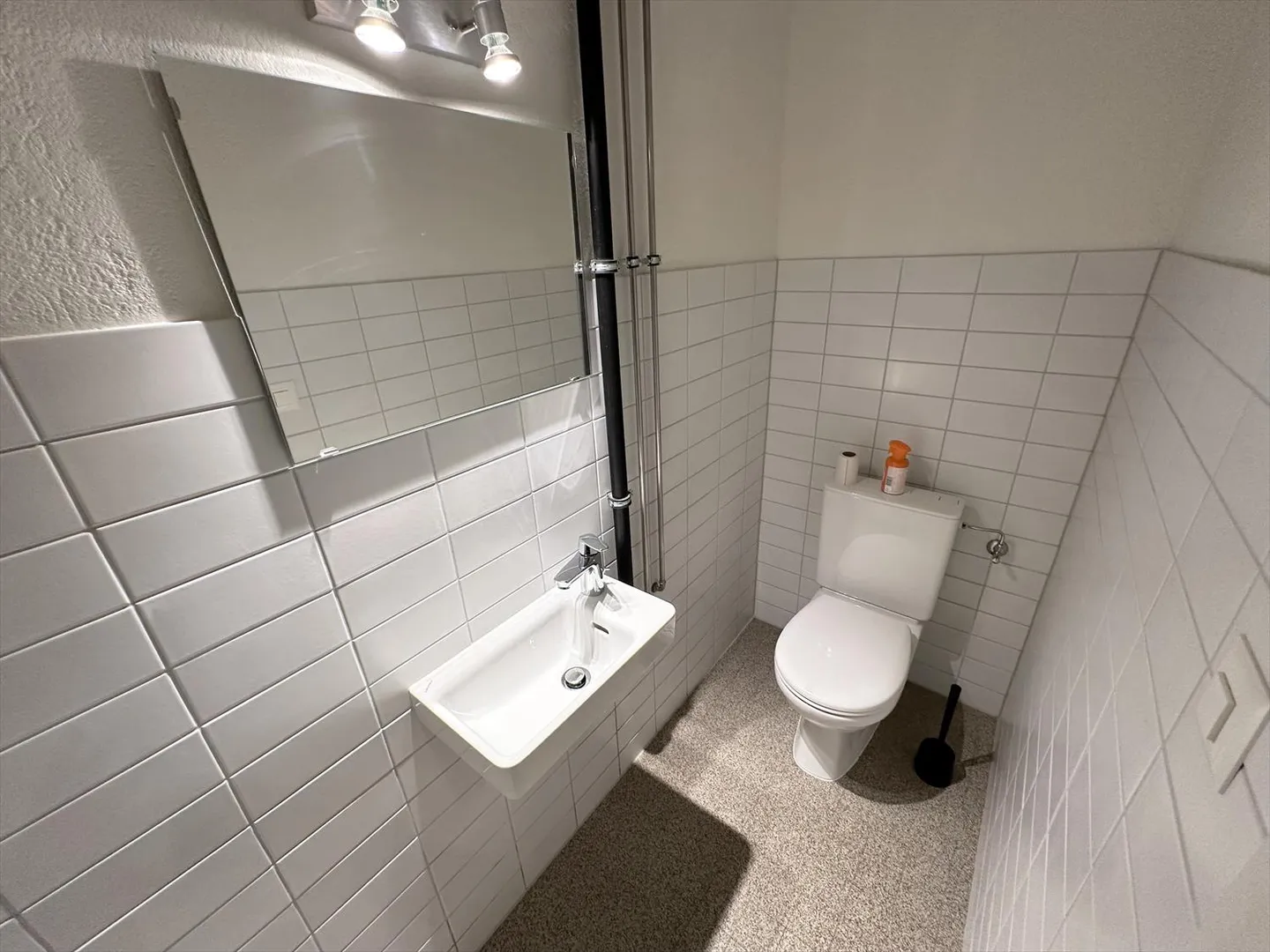 Sion, Entrepôt/Dépôt ou Atelier Léger de 74m2 dans le Centre-Ville - Photo 7 sur 8