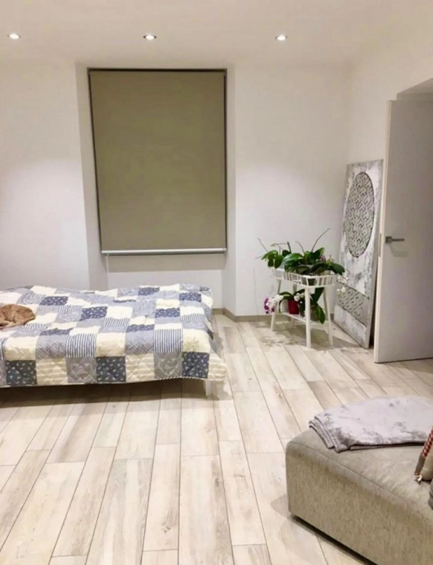 Appartamento moderno con giardino recintato - Foto 4 di 18