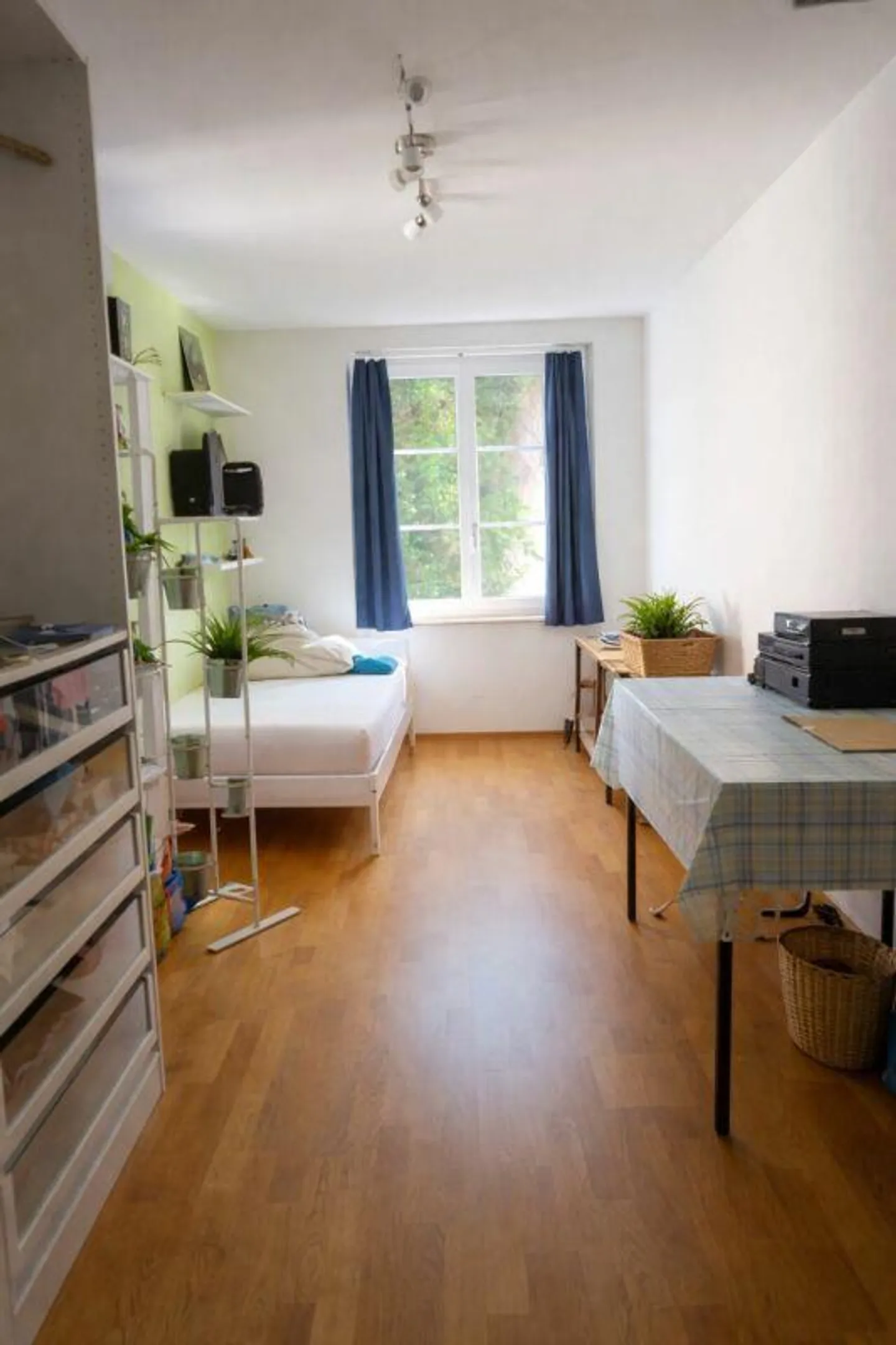 A House, Many Possibilities - Charming Property with Great Potential Including a Separate Apartment - Photo 7 of 9