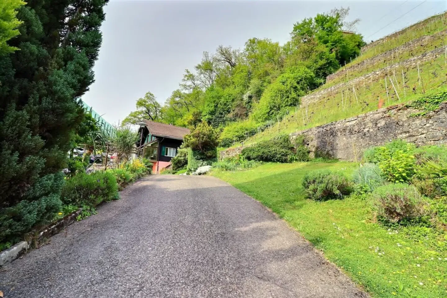 Terreno con alto potenziale - Villeneuve - Foto 7 di 13