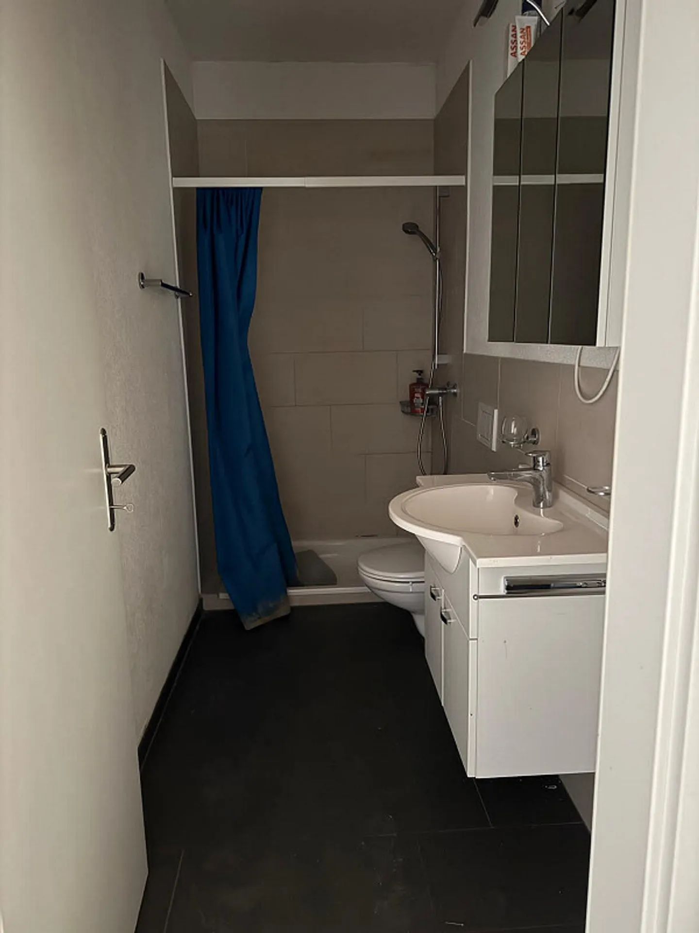 Subtenant for cozy 2.5-room apartment - Photo 4 of 5