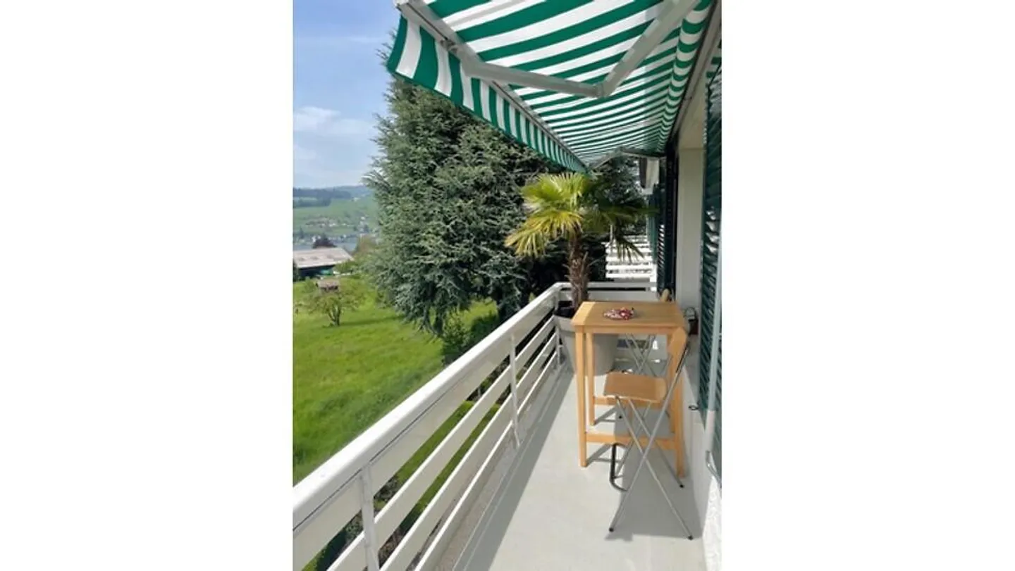2½ room flat in KÜSSNACHT AM RIGI (SZ), FURNISHED, TEMPORARY - Photo 6 of 8