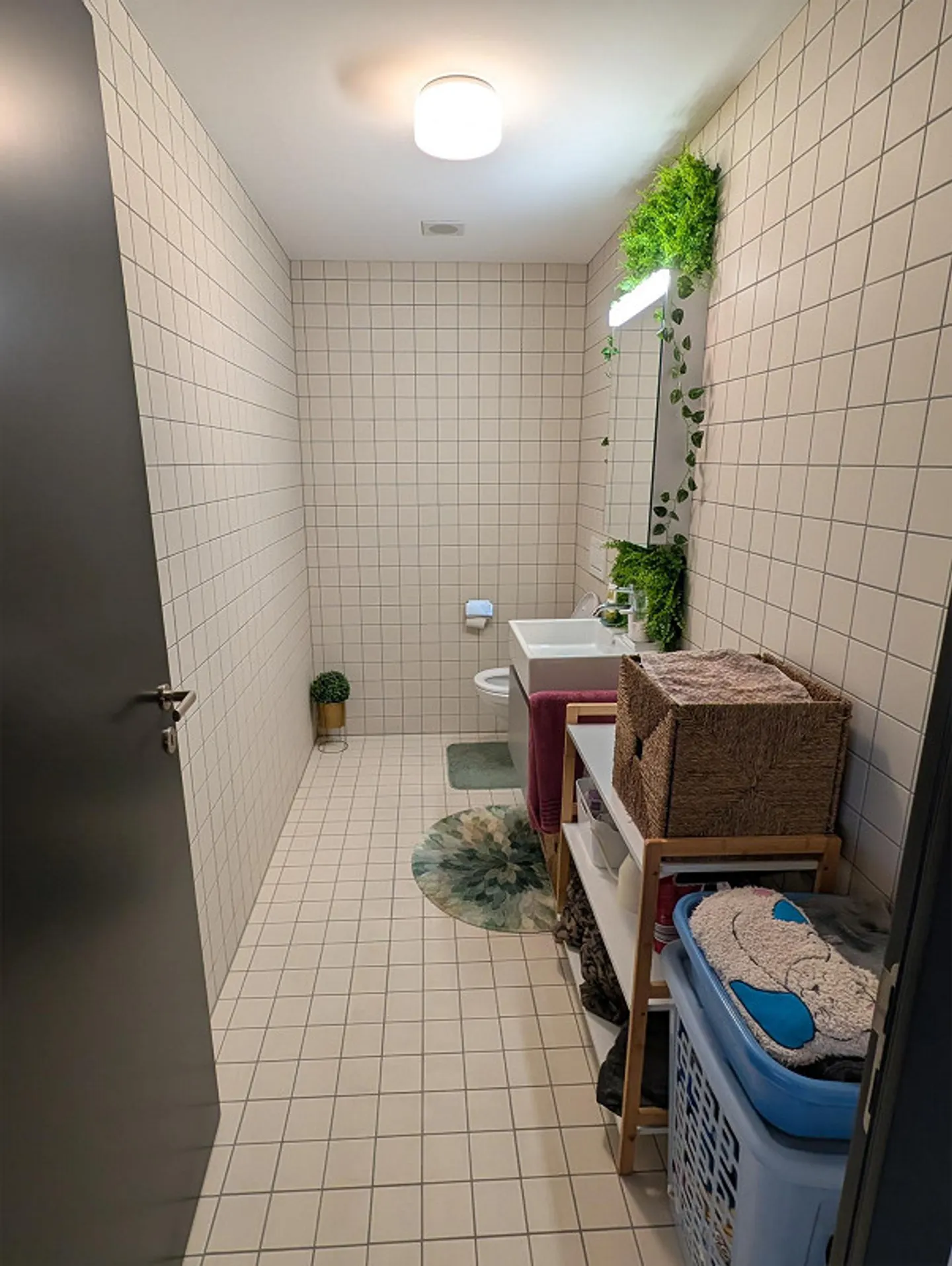 Helle Wohnung im Schweighofpark - Foto 10 von 13