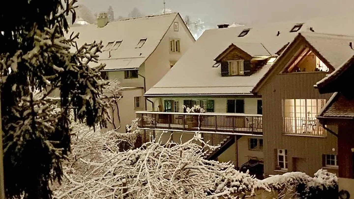 3½ ROOM MAISONETTE APARTMENT IN ZOLLIKON (ZH), FURNISHED, TEMPORARY - Photo 9 of 10