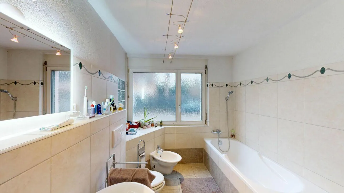 Spacious Apartment in the Heart of Wettingen - Photo 11 of 30