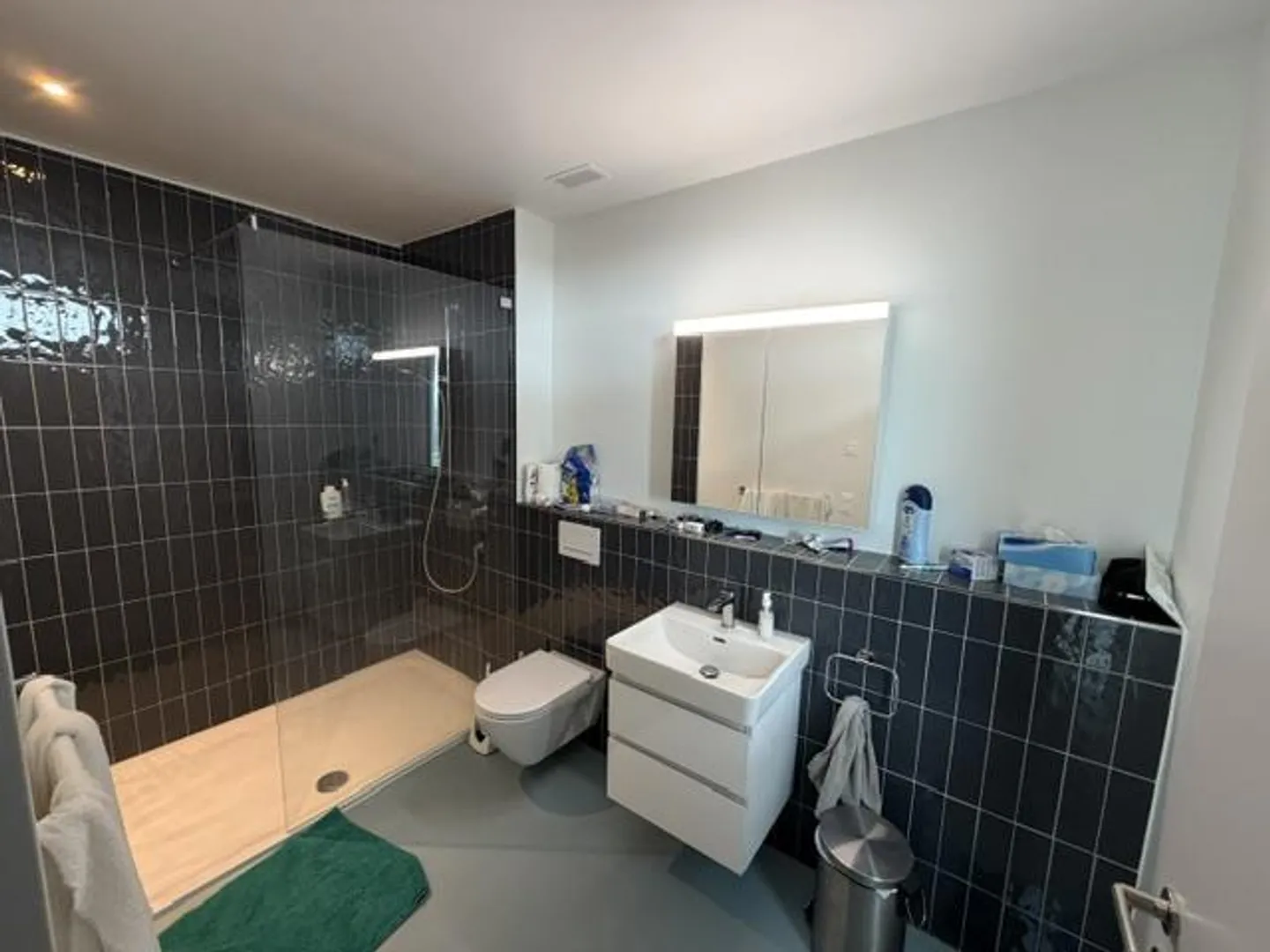 Modern 3 1/2-room apartment seeks new tenant - Photo 1 of 15