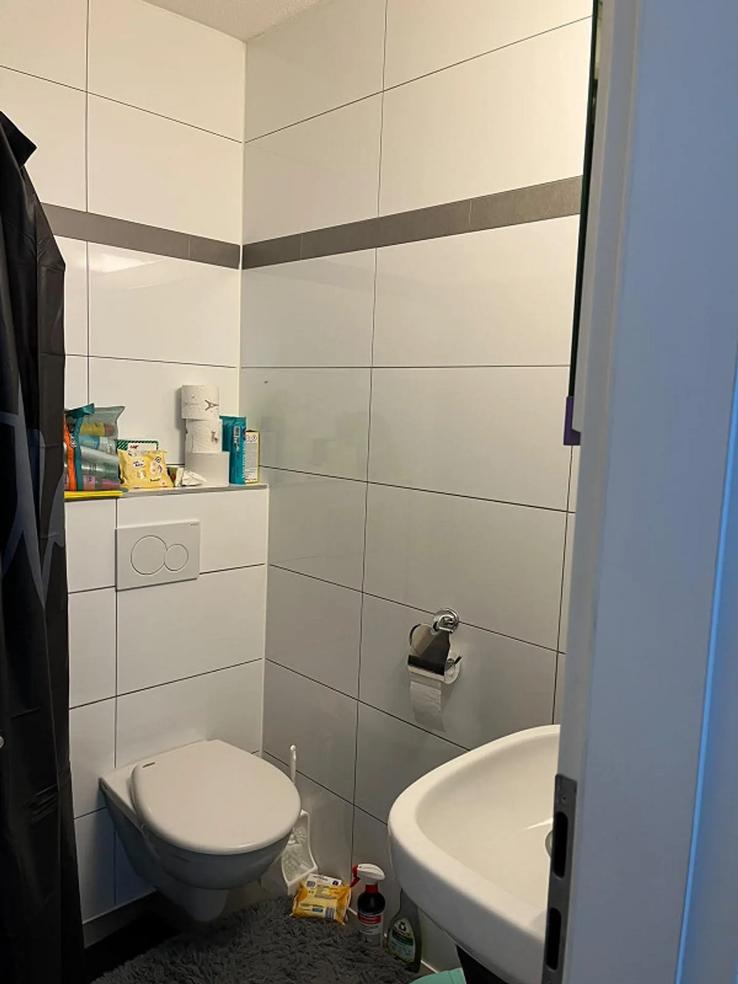 1 Room Apartment in Huttwil - Photo 7 of 7
