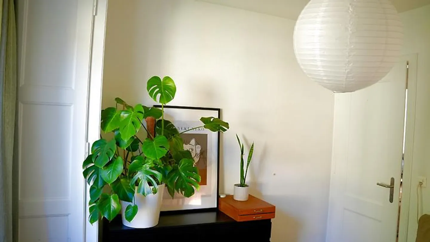 3-room apartment in Bern - Monbijou, furnished, temporary - Photo 3 of 10