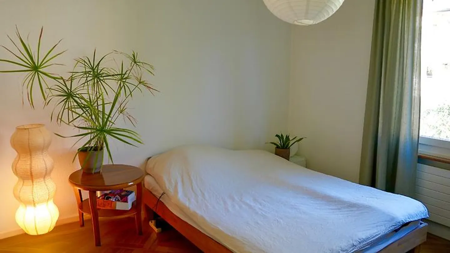 3-room apartment in Bern - Monbijou, furnished, temporary - Photo 7 of 10