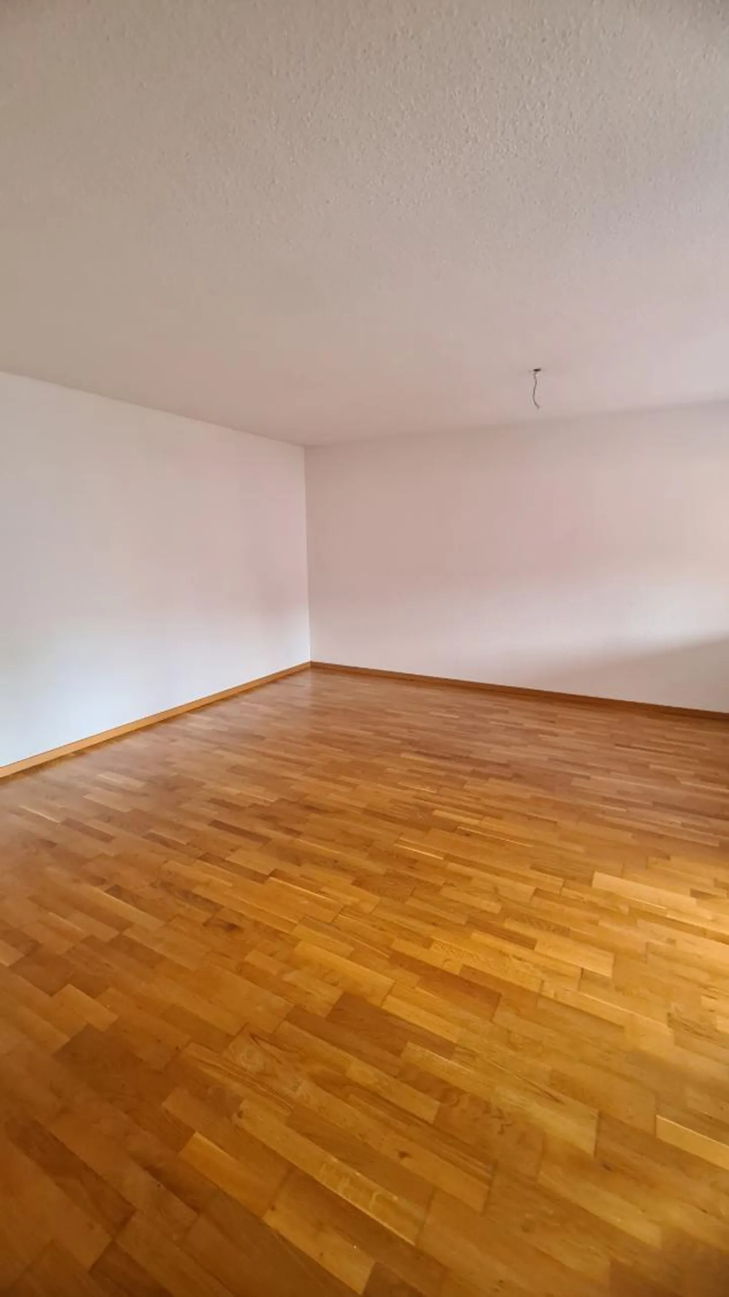 Appartement 2.5 pièces rénové - Photo 5 sur 6