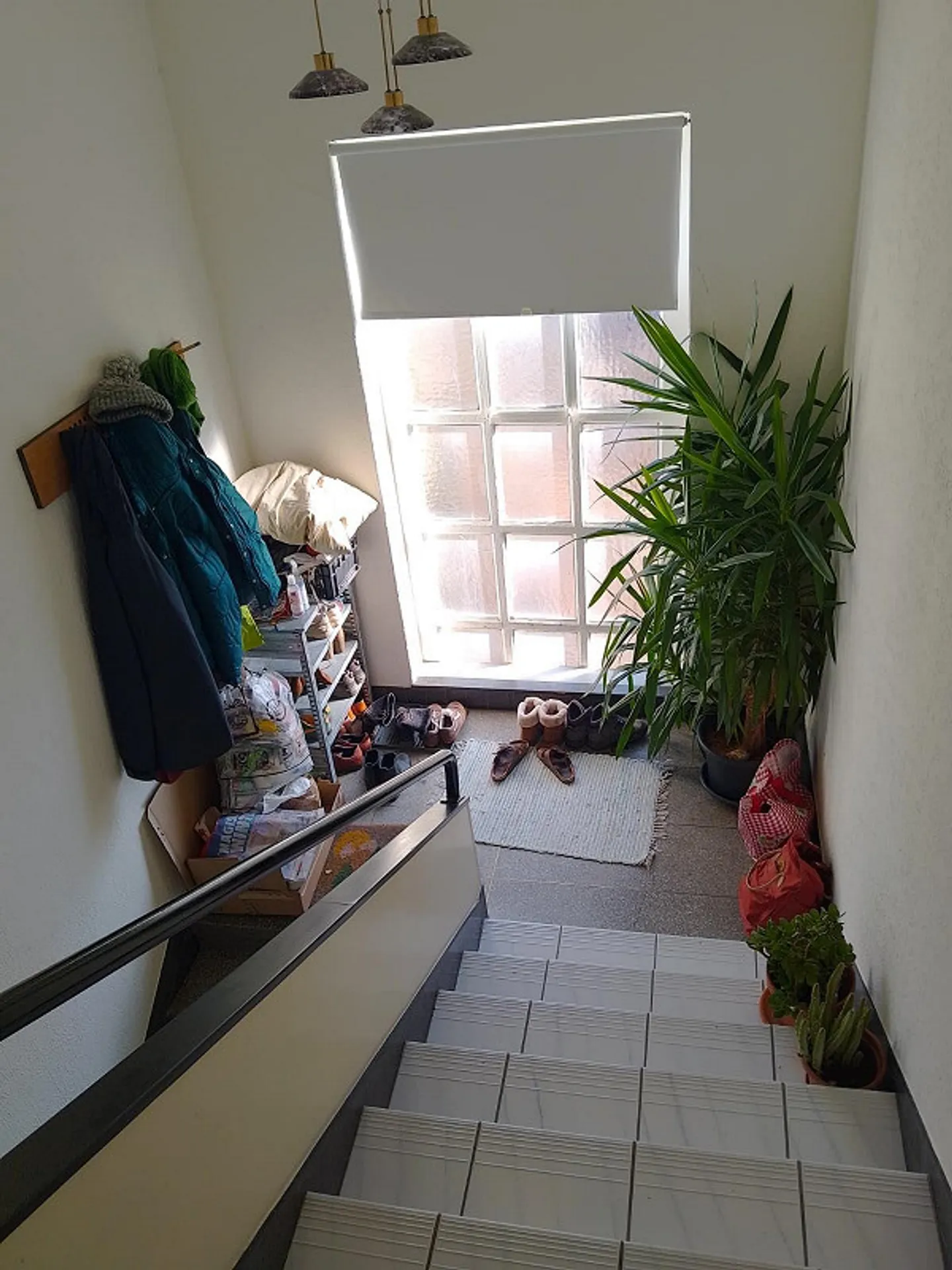 Charmante Dachwohnung mit Terrasse - Foto 17 von 17