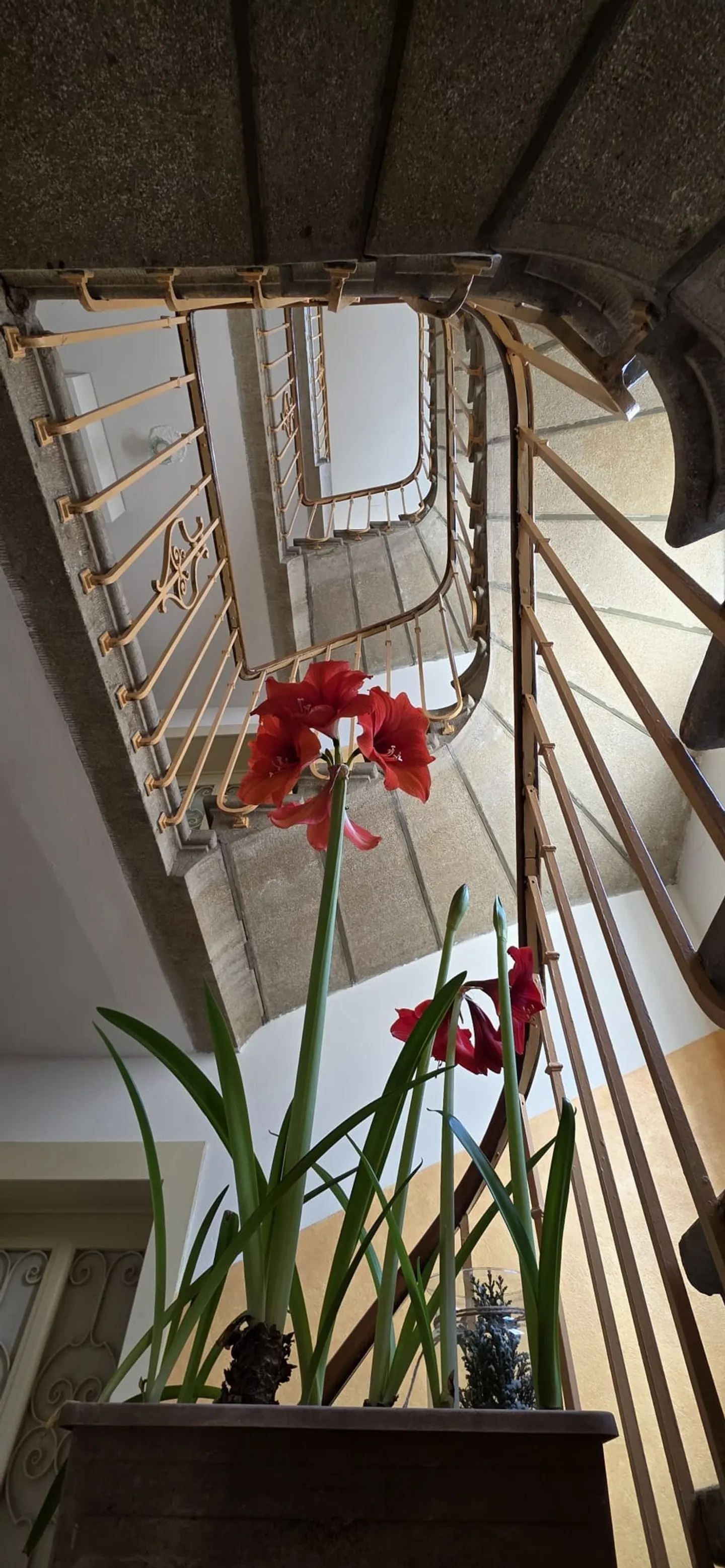 Investment Property in Beaulieu - Photo 5 of 12