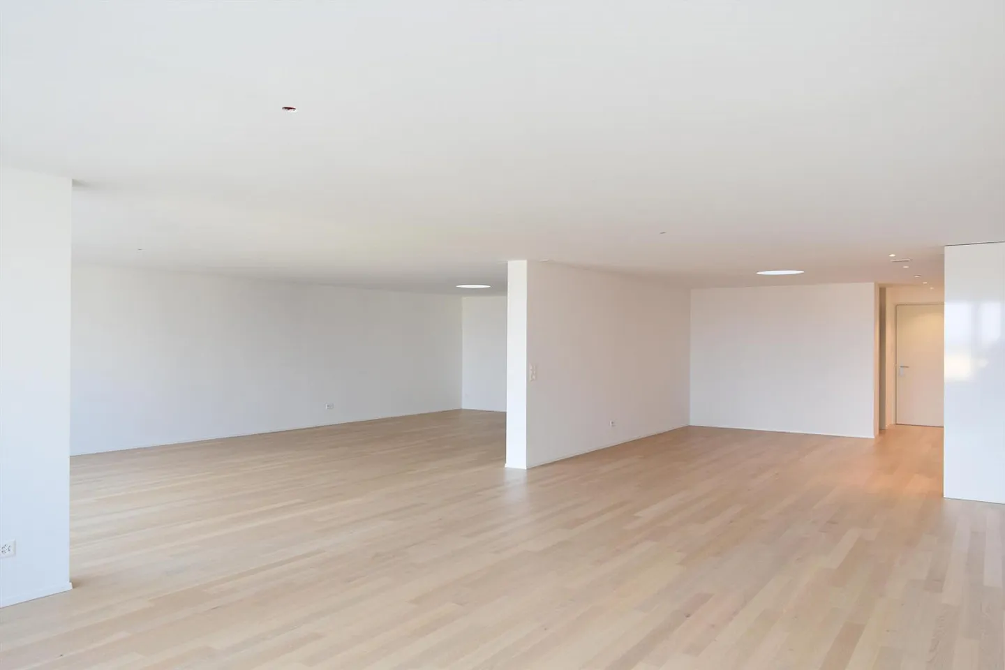 Modern Loft in Romanshorn - Photo 3 of 9