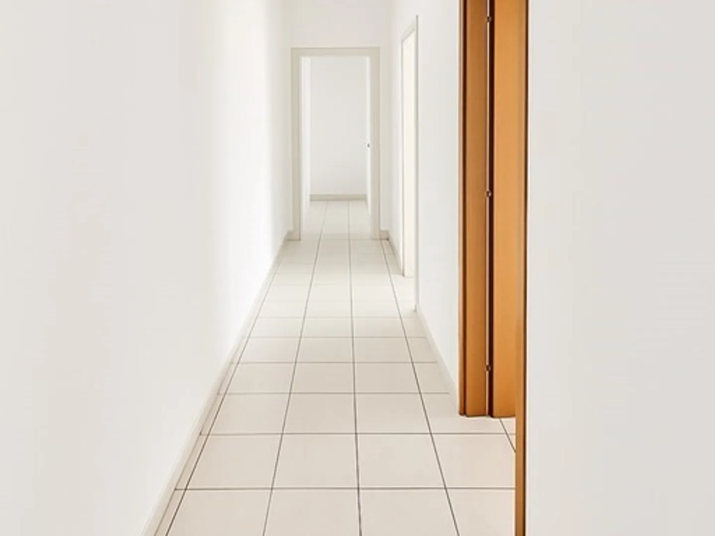 Commercial building plot for rent - Photo 9 of 14