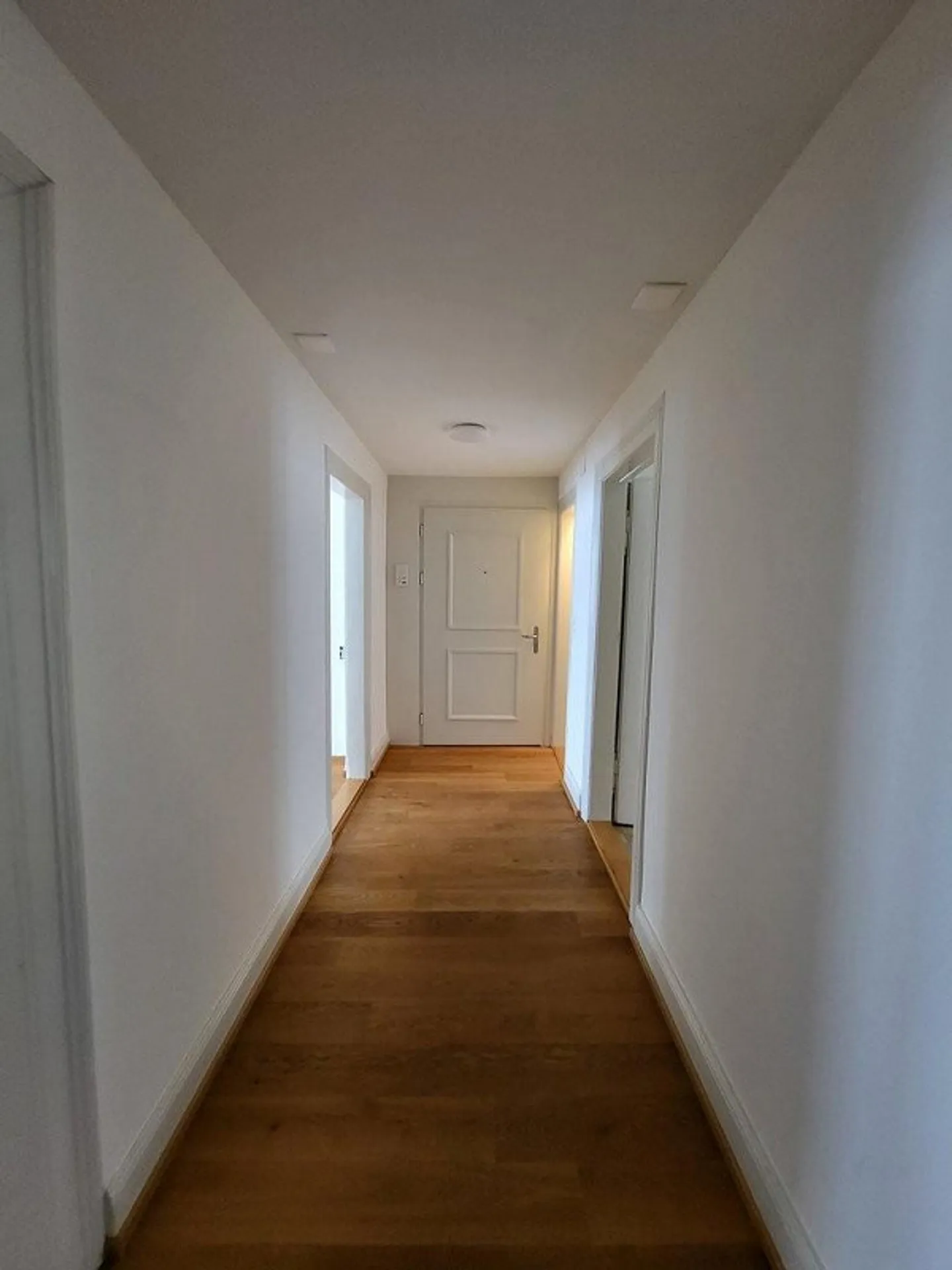 Attico con molta luce e aria nel Riethüsli - Foto 8 di 8