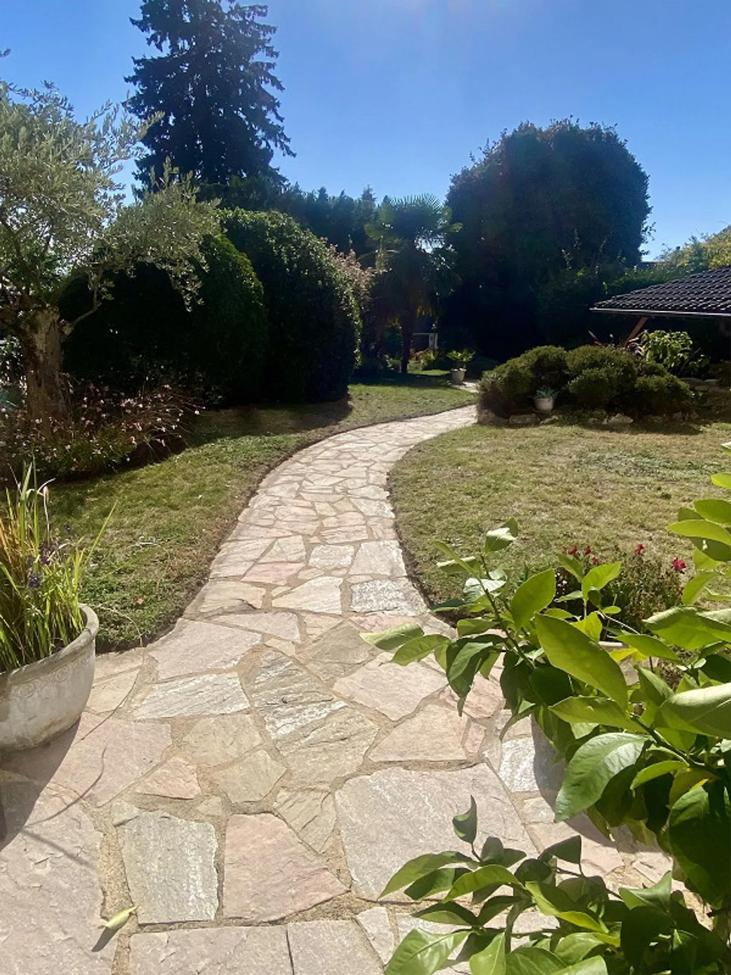 MAGNIFICA APPARTAMENTO 5,5 STANZE CON GIARDINO - Foto 1 di 7