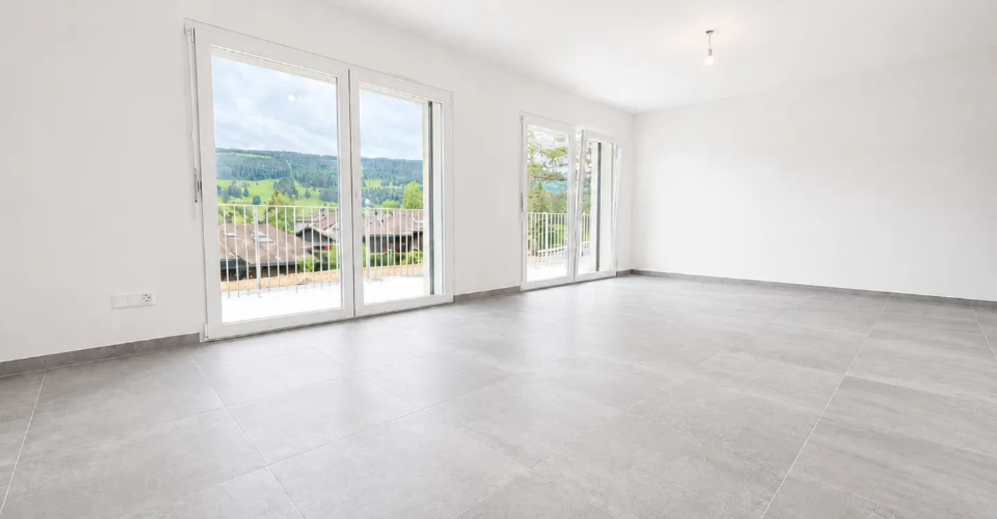 Magnificent 2.5 room new apartment with full south balcony - Photo 2 of 4