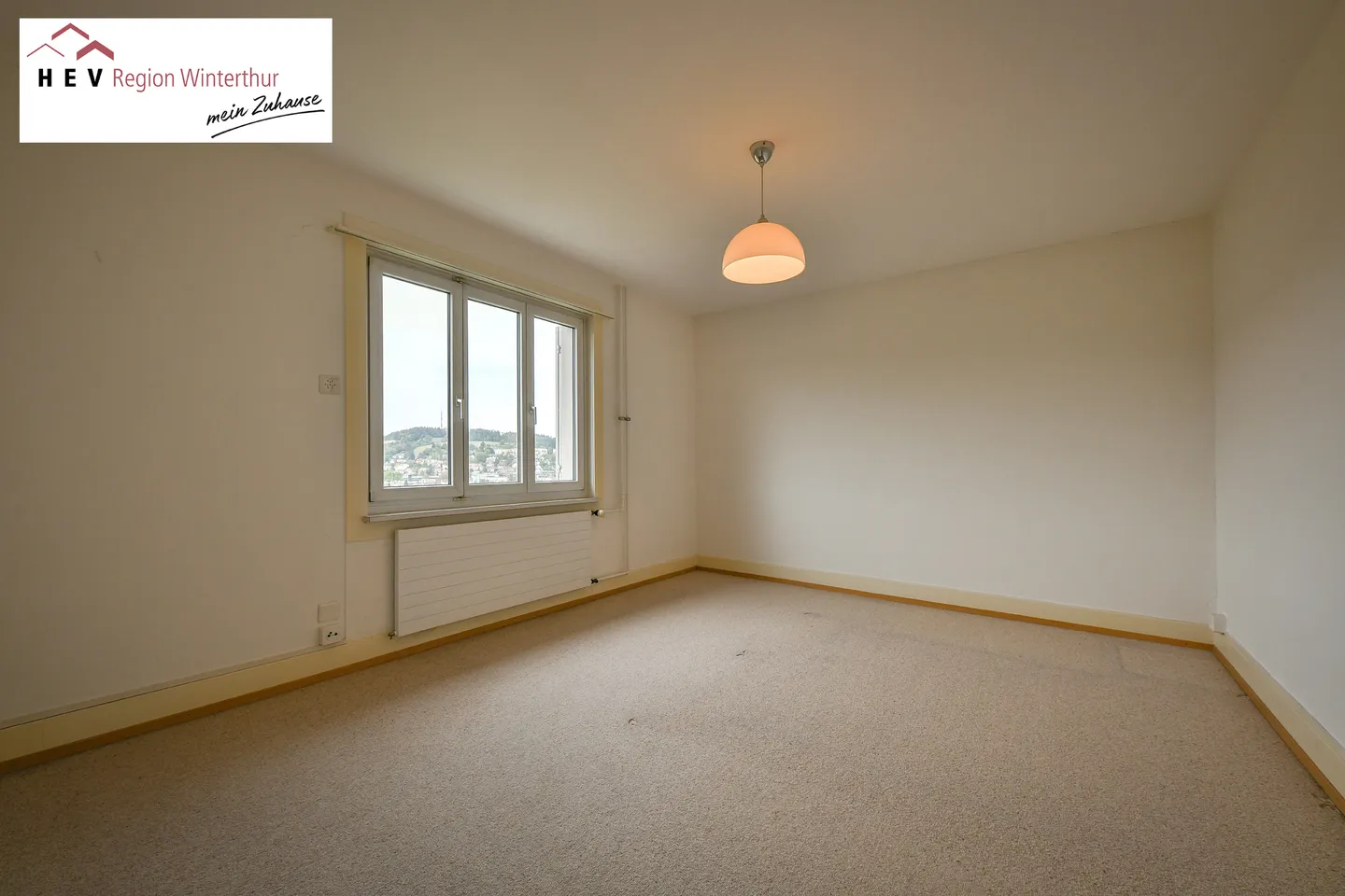 Panoramic View of Lifetime - Photo 4 of 5