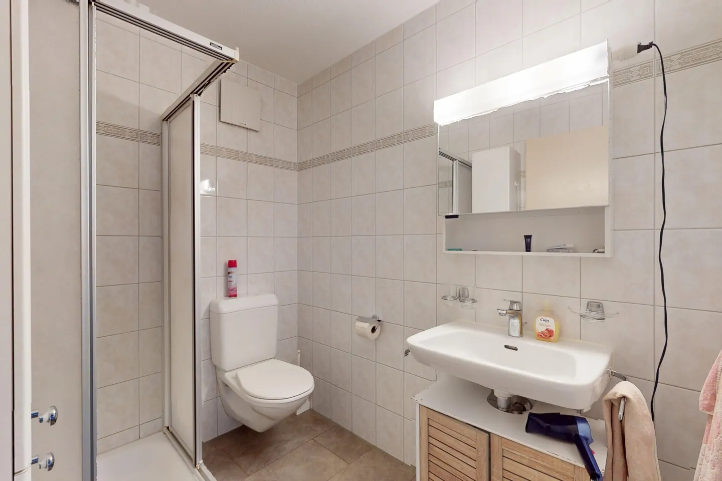 Charming Apartment in Villariaz - Photo 6 of 8