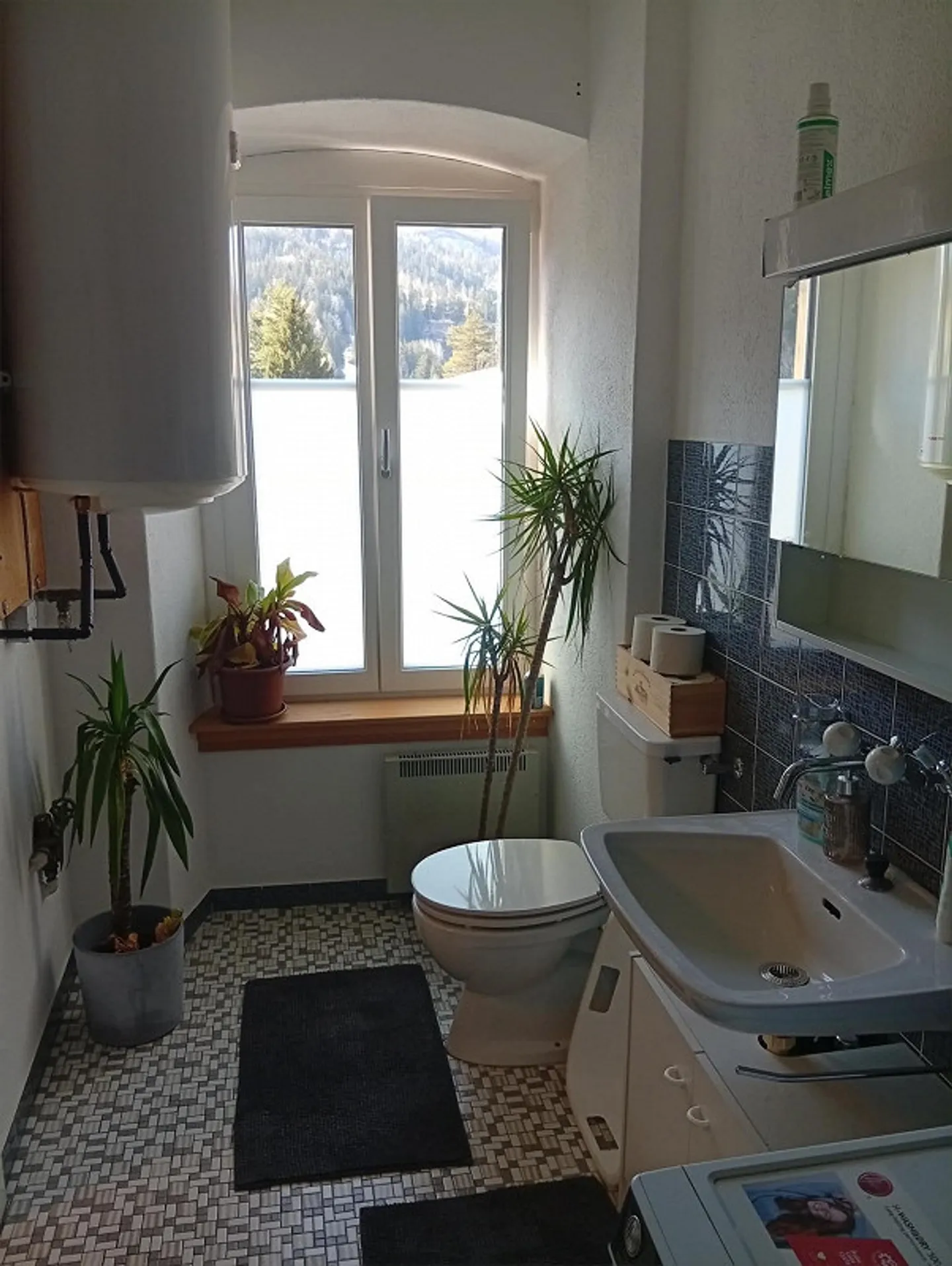 Affordable 4 Room Apartment in Tiefencastel - Photo 17 of 23