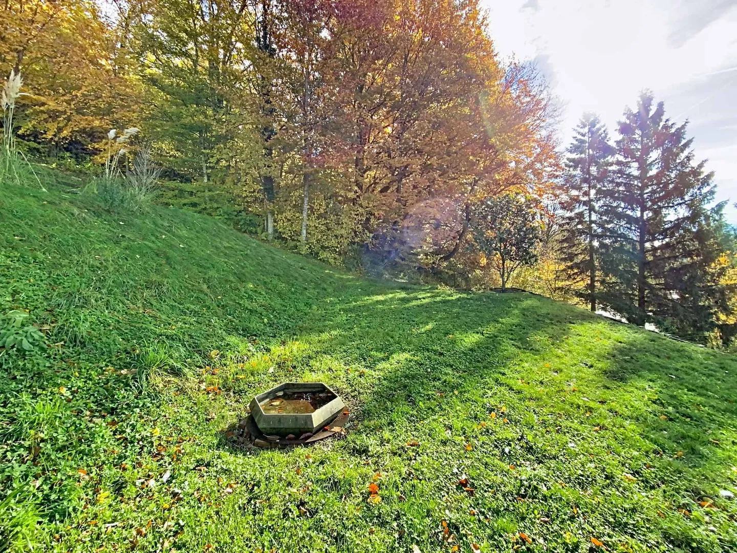Magnifica Casa nella Natura - Foto 11 di 13