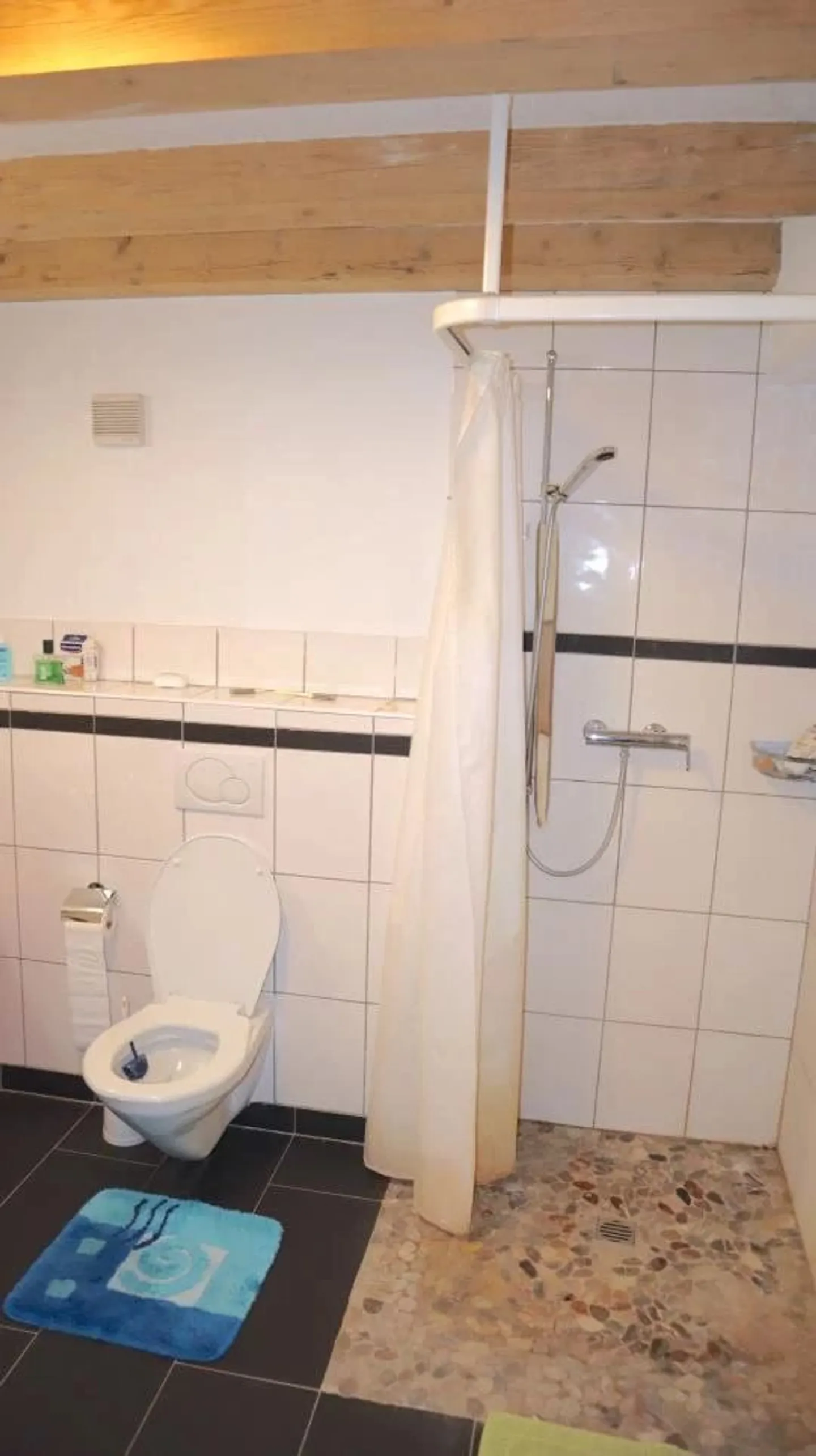 Wohnung 5.5 Zimmer + geräumige Lagerhallen? Ideal für Handwerker, Investoren oder Selbstständige - Foto 5 von 11
