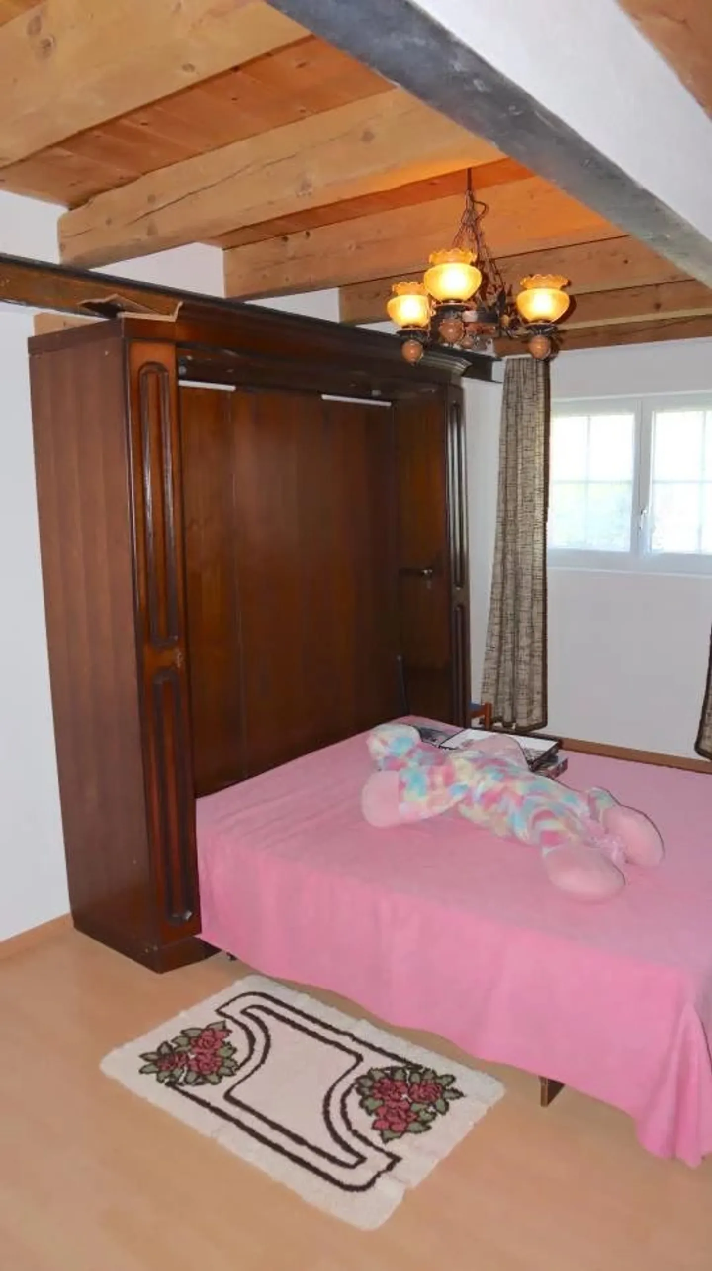 Wohnung 5.5 Zimmer + geräumige Lagerhallen? Ideal für Handwerker, Investoren oder Selbstständige - Foto 6 von 11