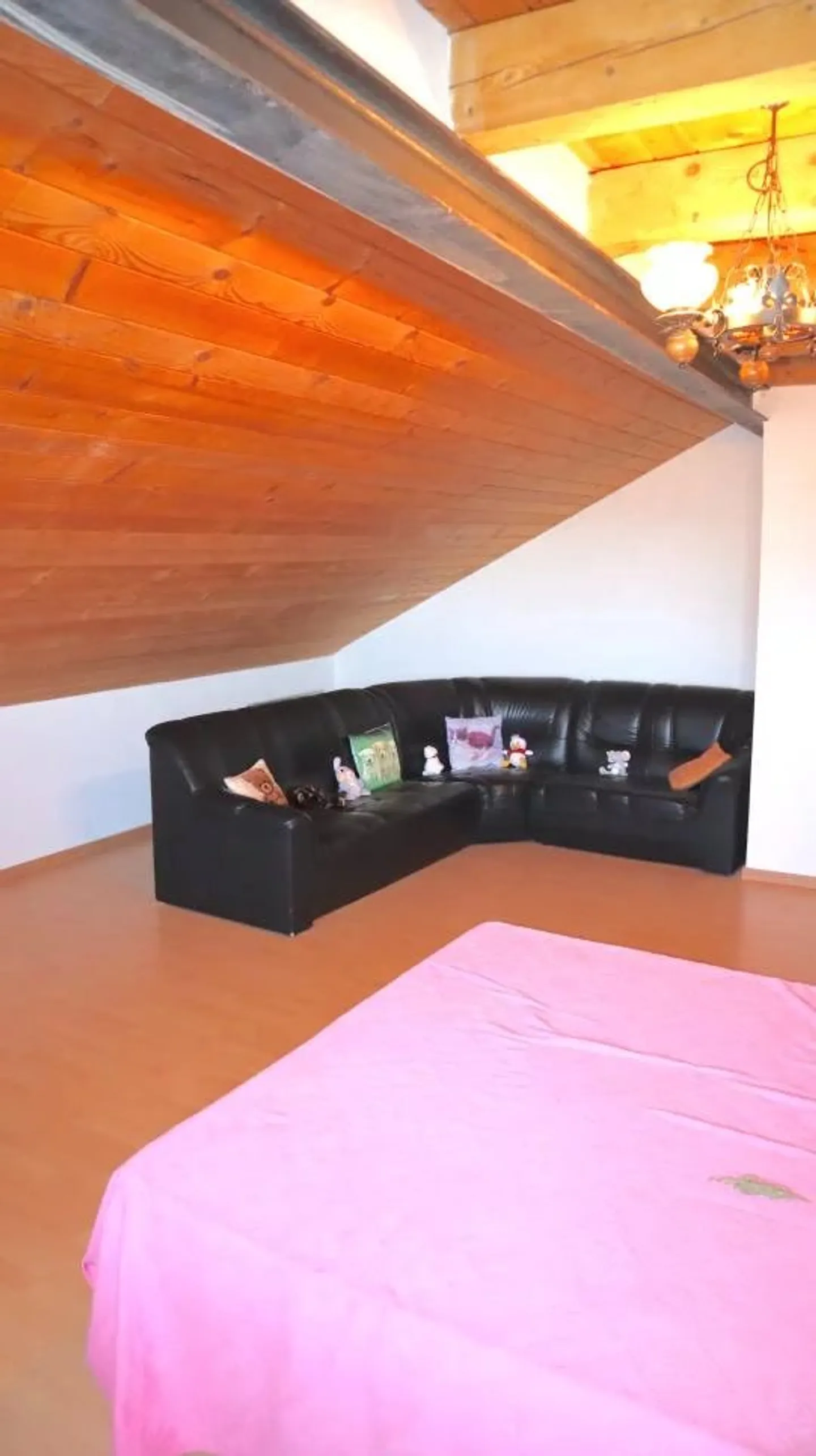 Wohnung 5.5 Zimmer + geräumige Lagerhallen? Ideal für Handwerker, Investoren oder Selbstständige - Foto 7 von 11