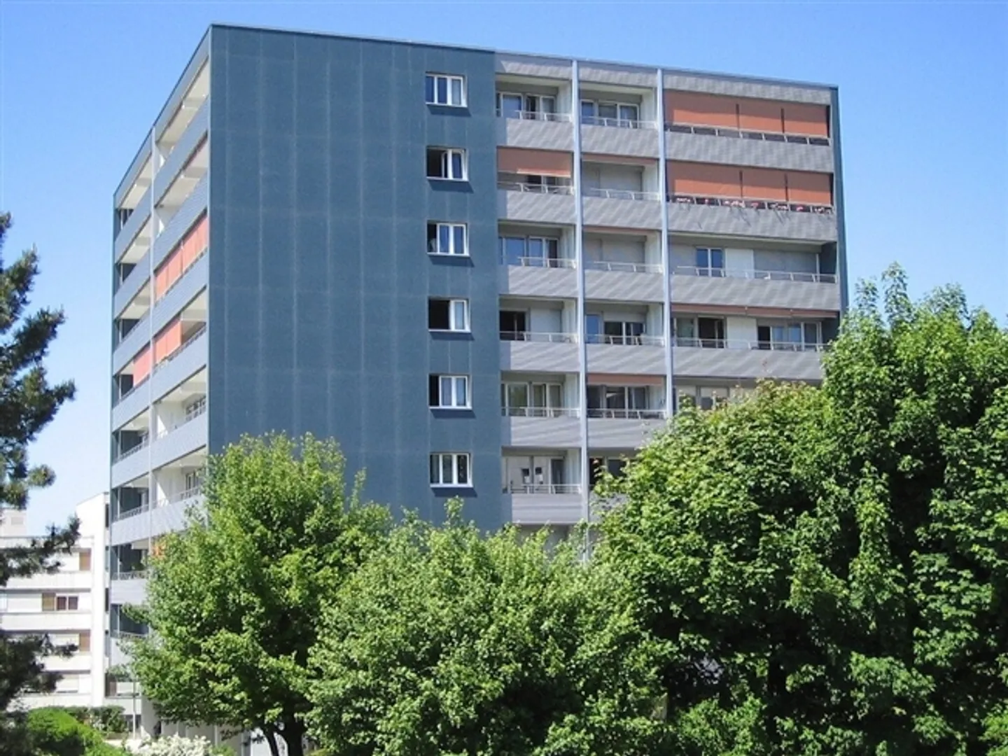 Appartement spacieux près des commodités - Photo 1 sur 2