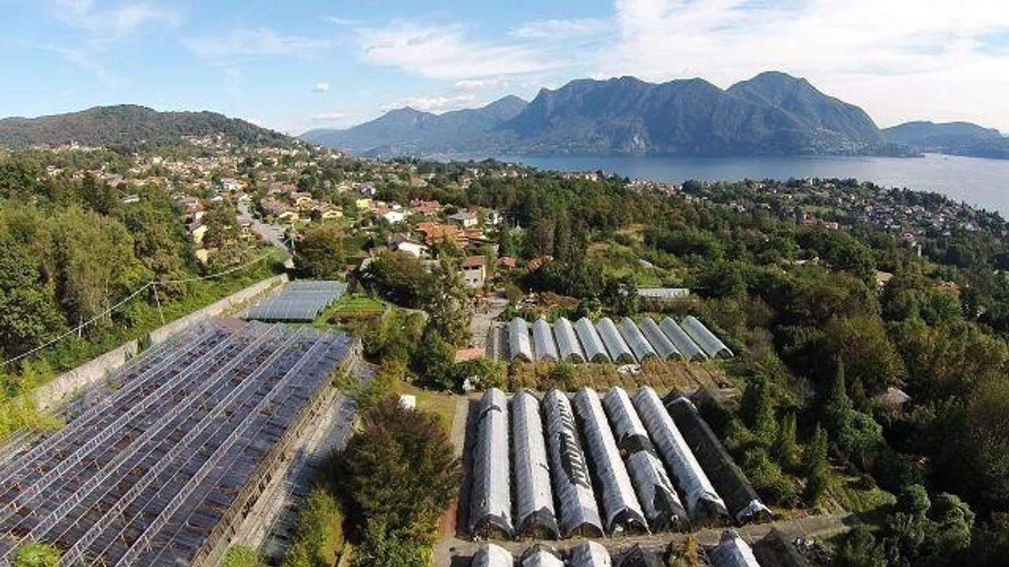 Erstklassiges Bauland für Luxusprojekte - Foto 1 von 13