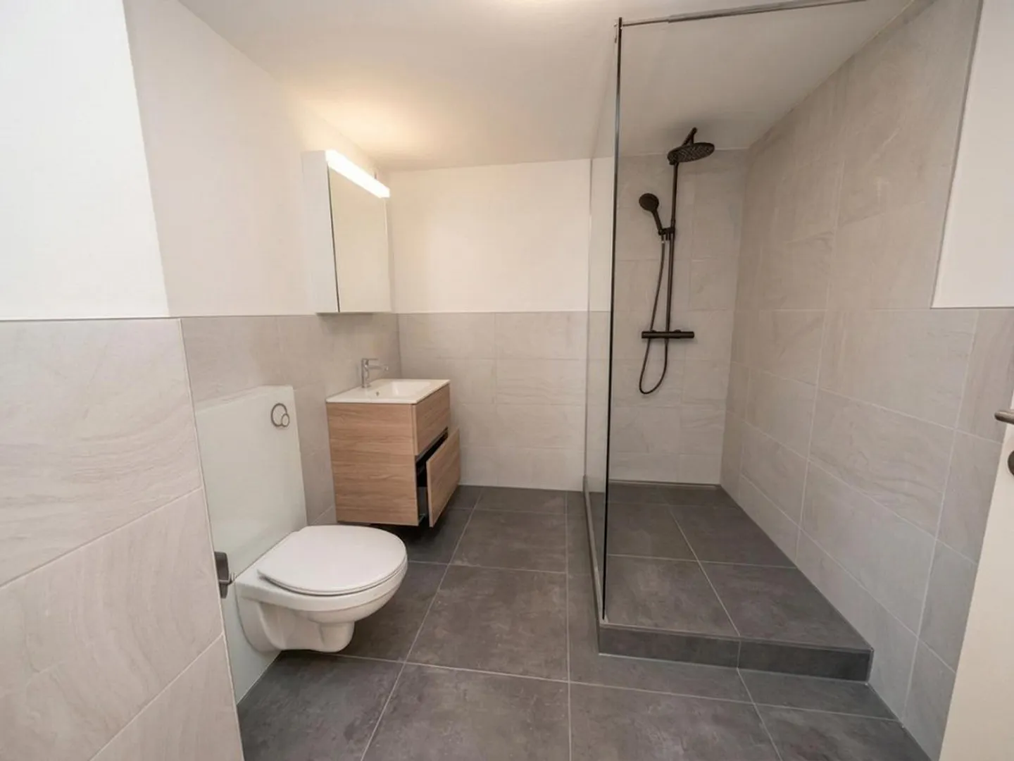 Prima occupazione: Ampio appartamento 2.5/3.5 stanze in standard di nuova costruzione - Foto 6 di 12