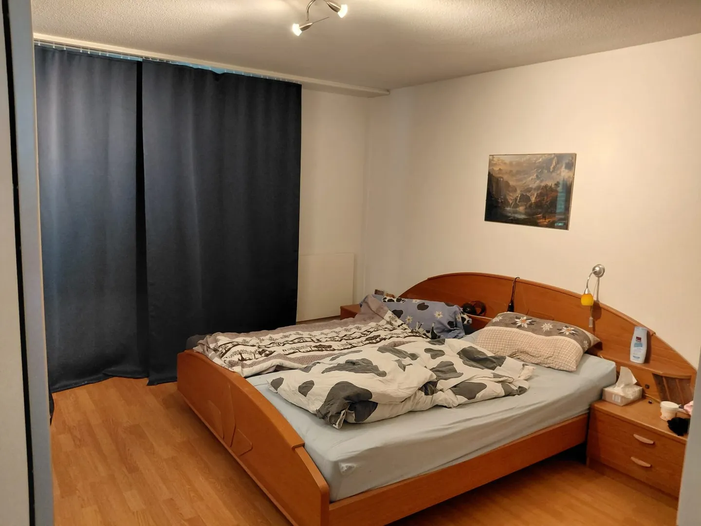 Ampio appartamento 3.5 locali - Foto 5 di 10