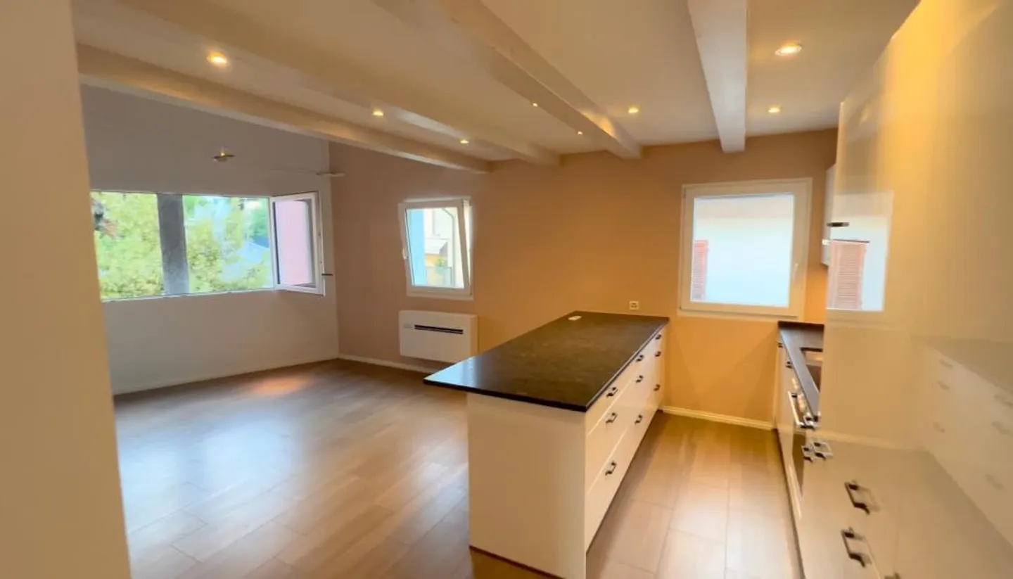 Minusio - Duplex, 2,5 pièces de luxe - vue sur les montagnes et le lac - Photo 2 sur 16