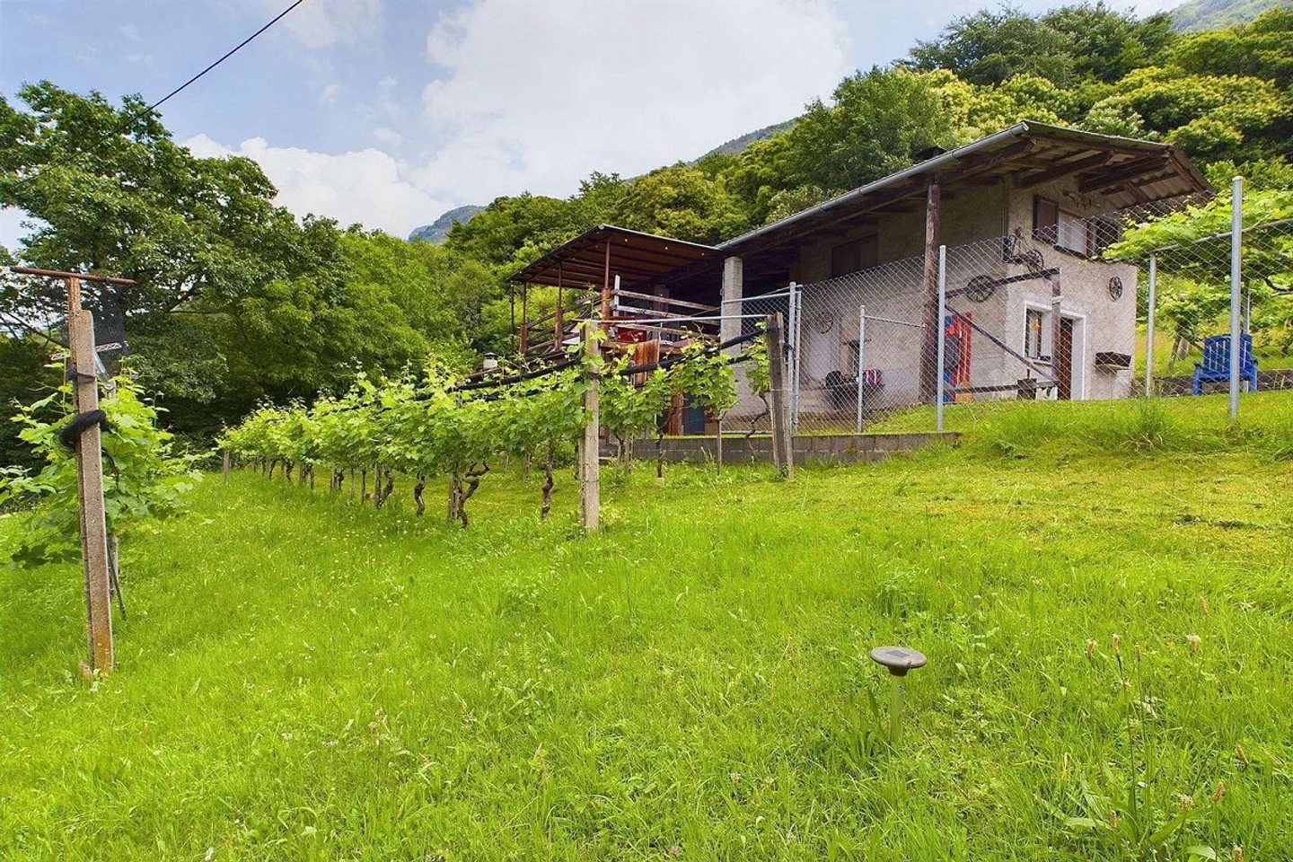 Rustico ticinese interessante con grande terreno - Foto 6 di 13