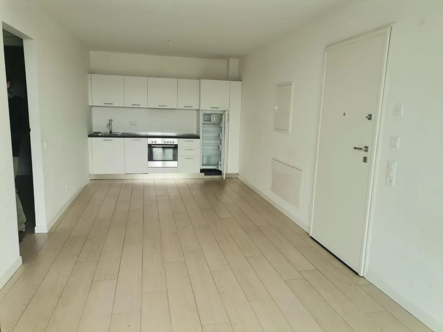 Bright 3 ½ Room Apartment in Genestrerio - Photo 2 of 13