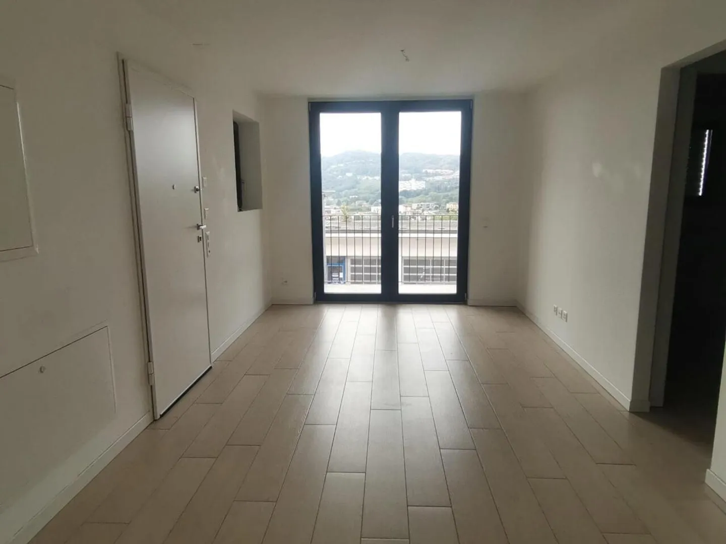 Bright 3 ½ Room Apartment in Genestrerio - Photo 3 of 13