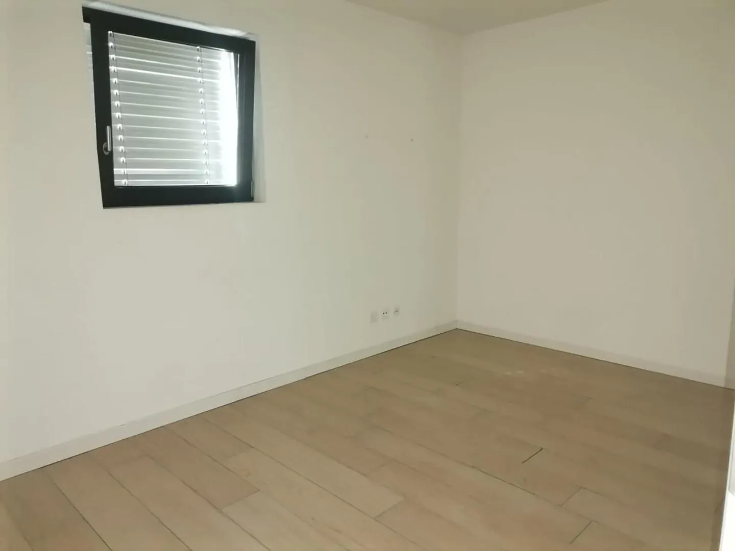 Bright 3 ½ Room Apartment in Genestrerio - Photo 5 of 13